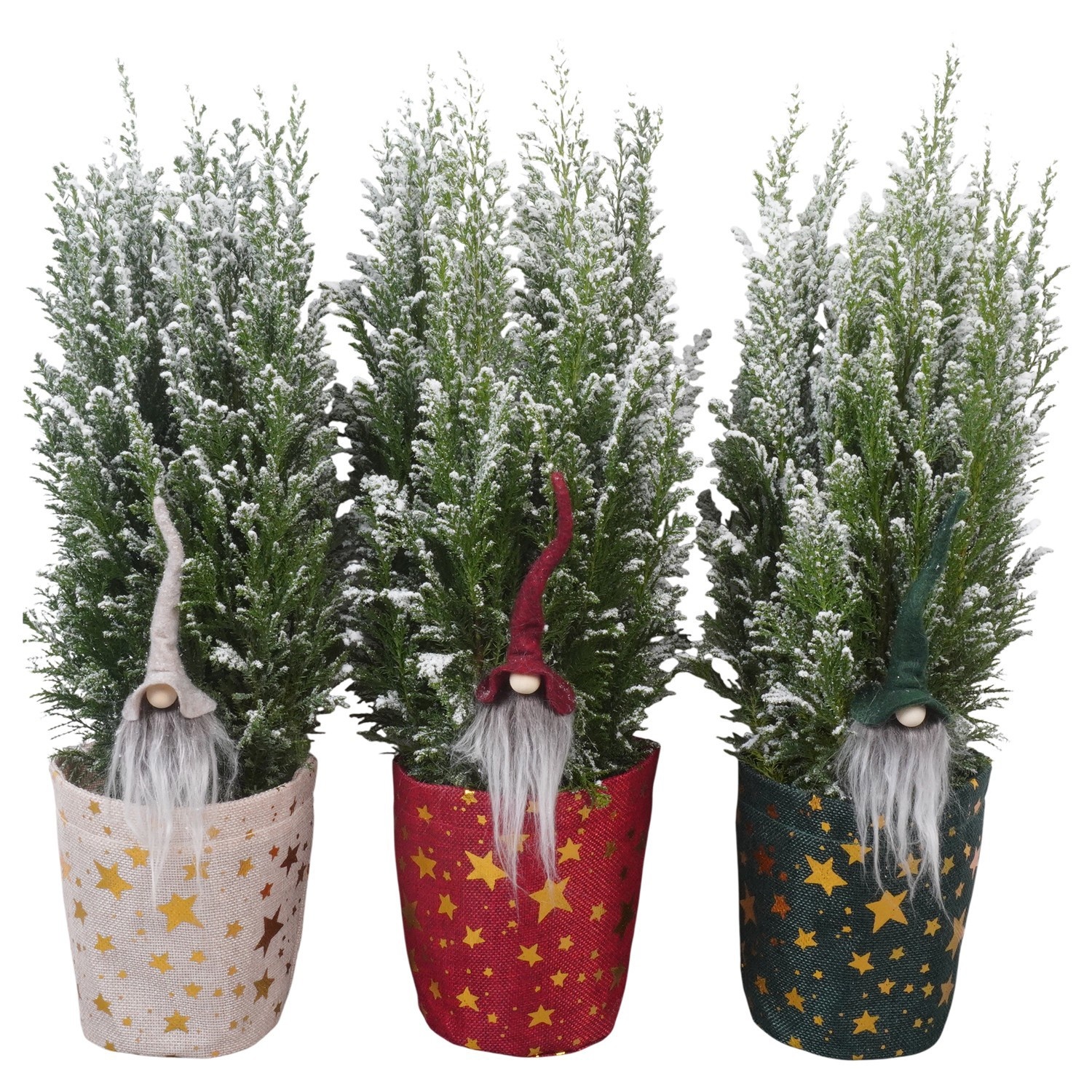 PTK26911 Ellwoodii met sneeuw in jute potcover mix met decoratie, D 13