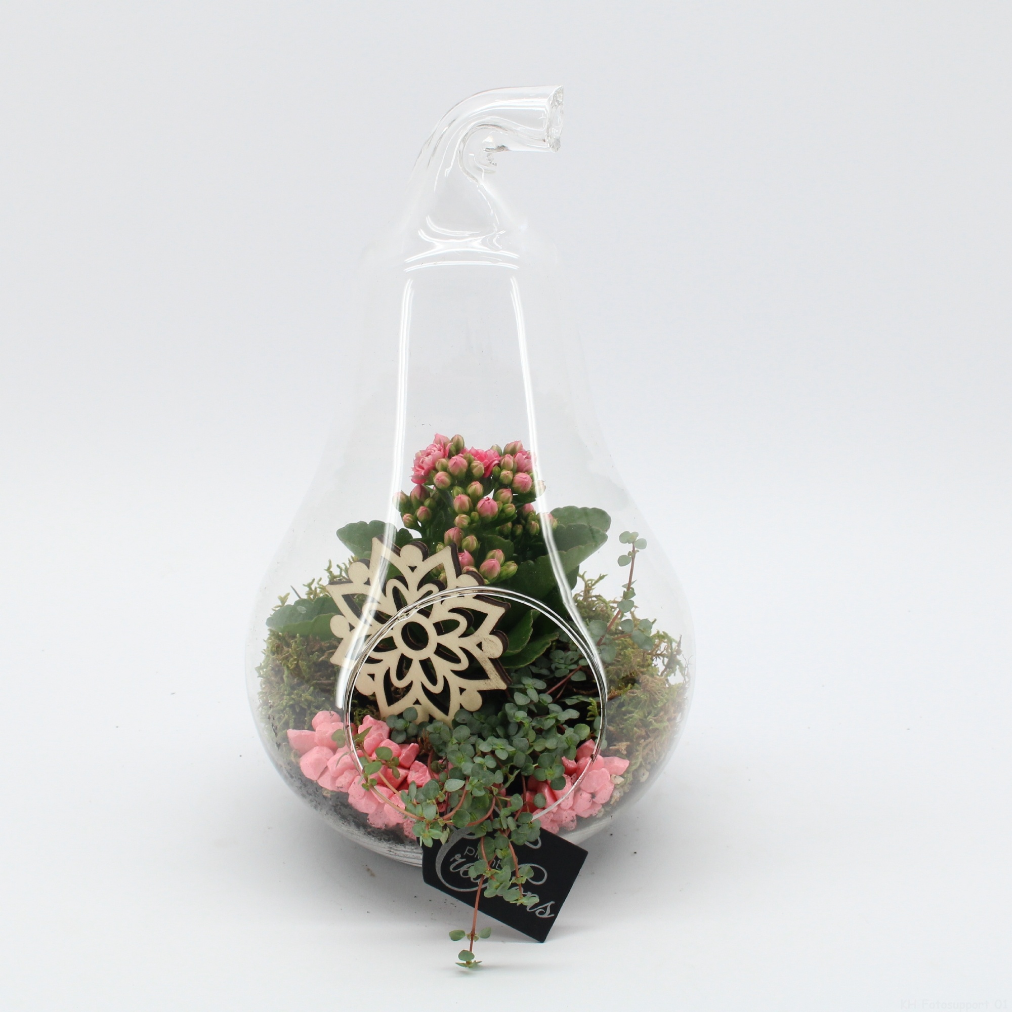 ESCR-2632RZ Essentials terrarium, D 18