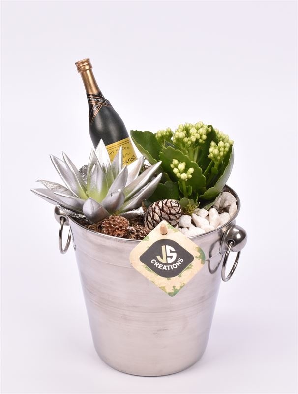 Champagnekoeler zilver 14 cm, D 14