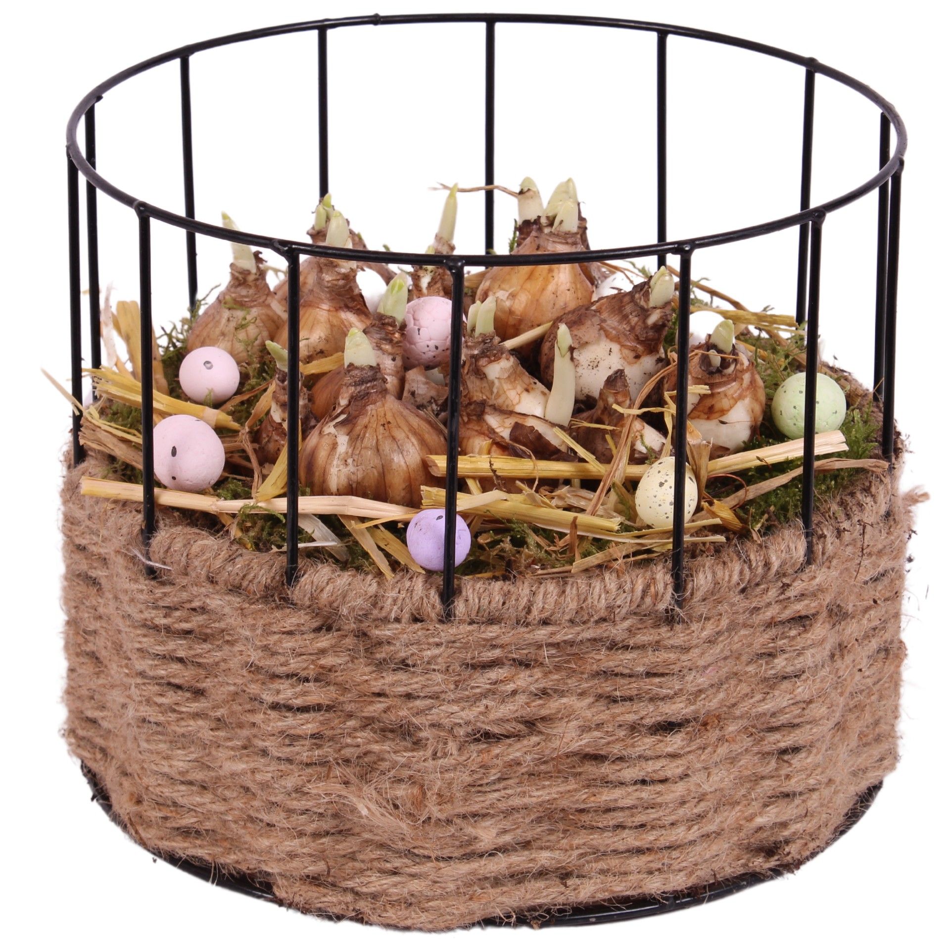 Easter Arr. Narcis Metal Rope Frame pot Ø21cm, D 21