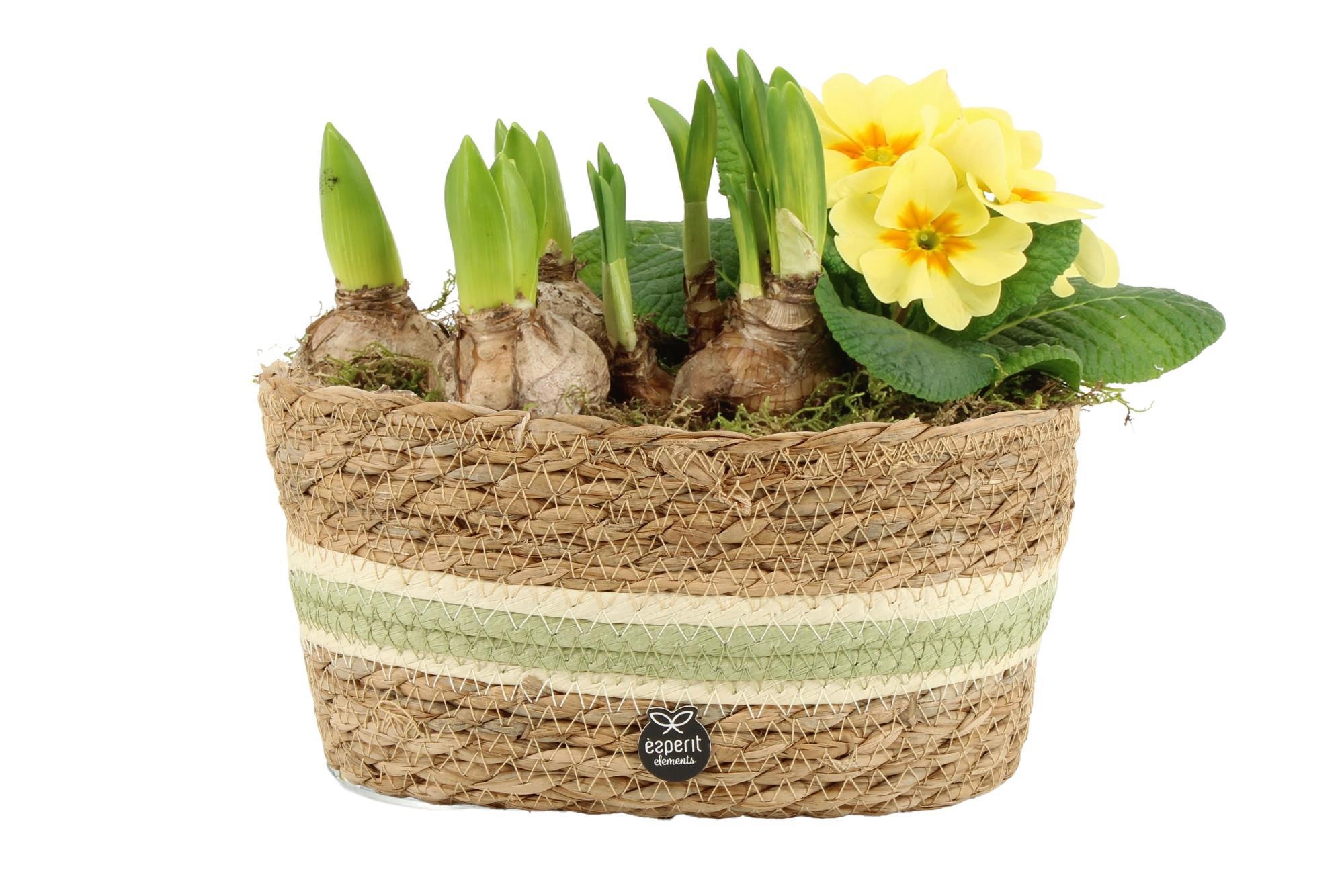11696: Outdoor spring arrangement, D 23