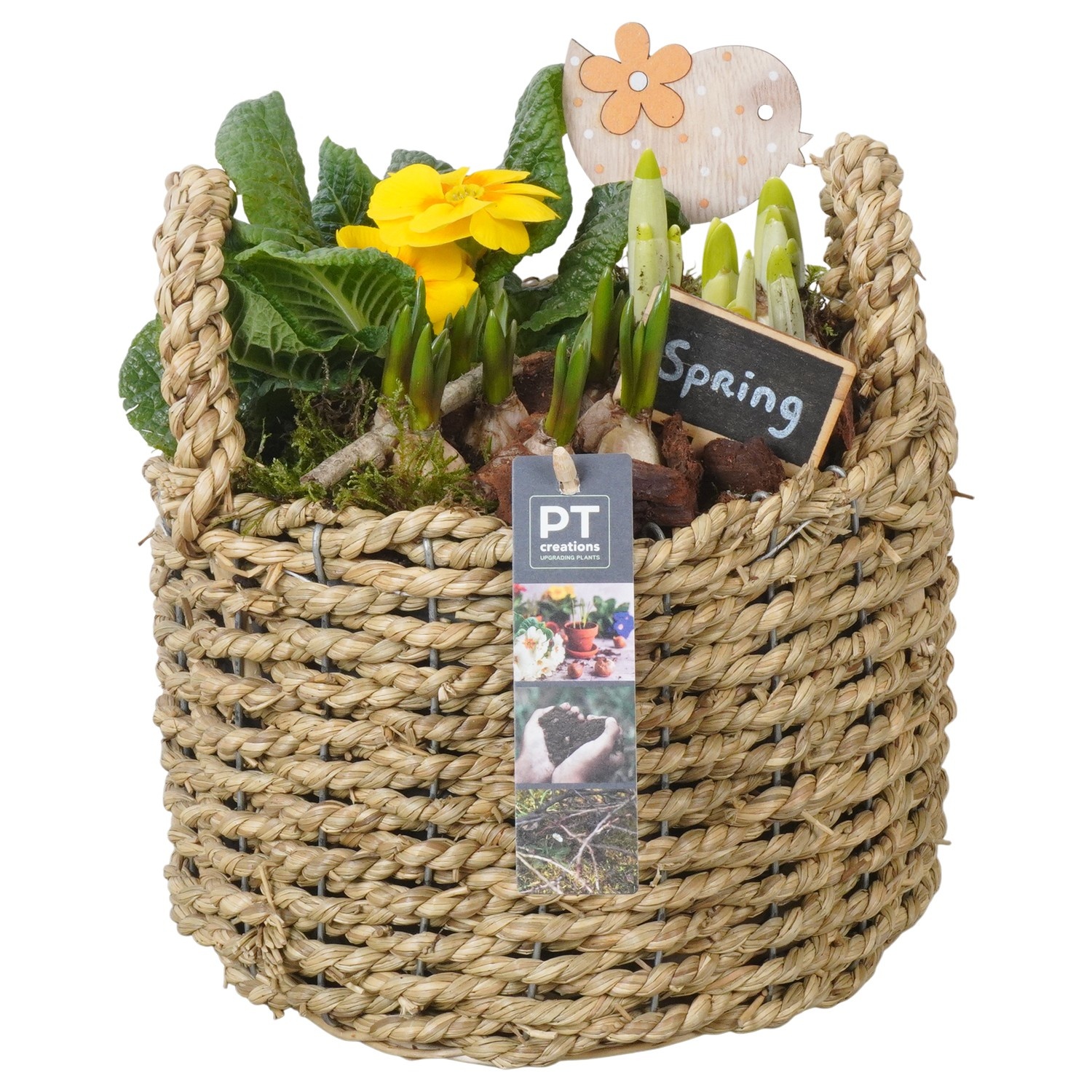 PTBM3833 Arrangement Flower Bulbs Mix in rieten mand, D 21