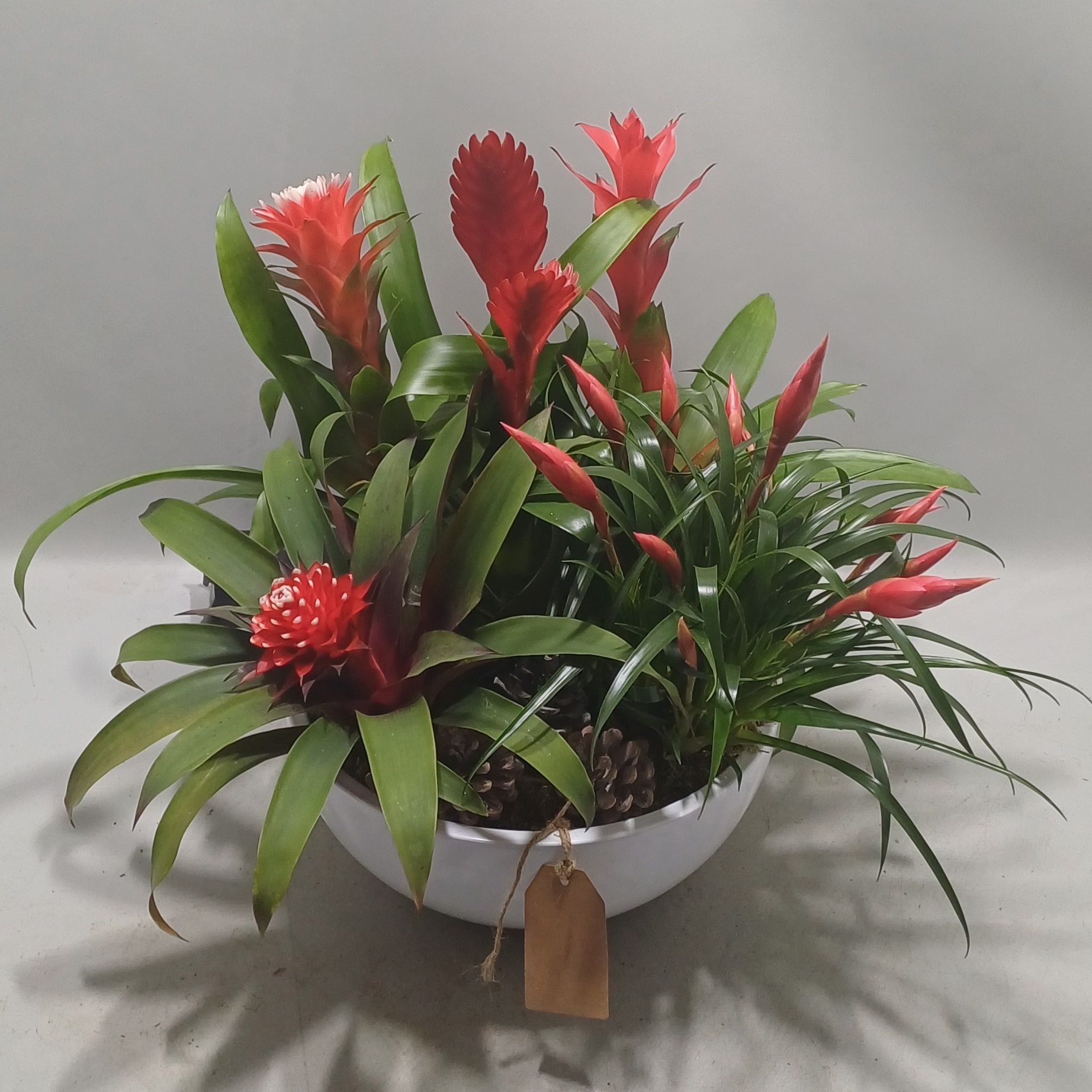 Coupe riga white X-mass, D 30 cm