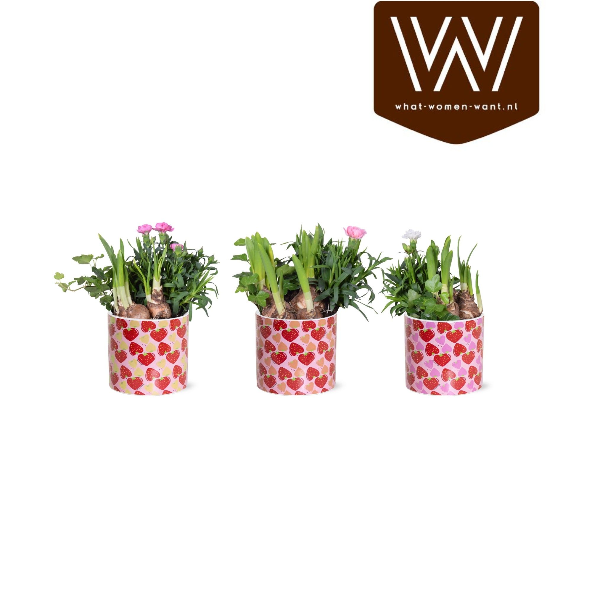 Collectie 'Spicey Blend' - Arrangement in Lonneke, D 13