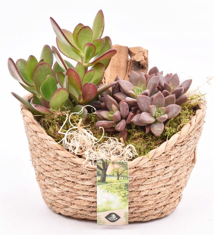 Jute mand ovaal 19x14cm, D 18