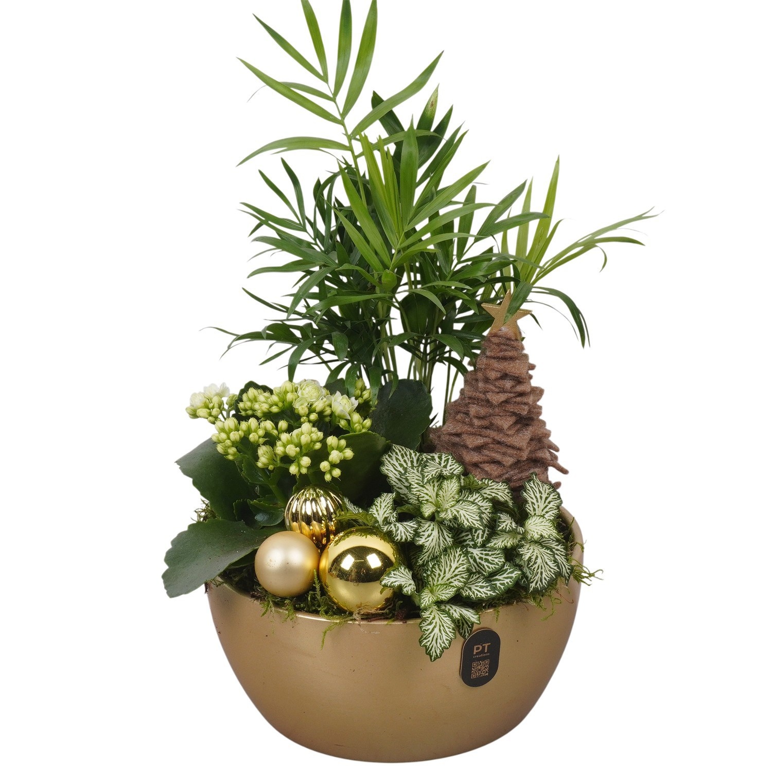PTCHG4681 Arrangement Christmas Gold in keramiek schaal, D 18