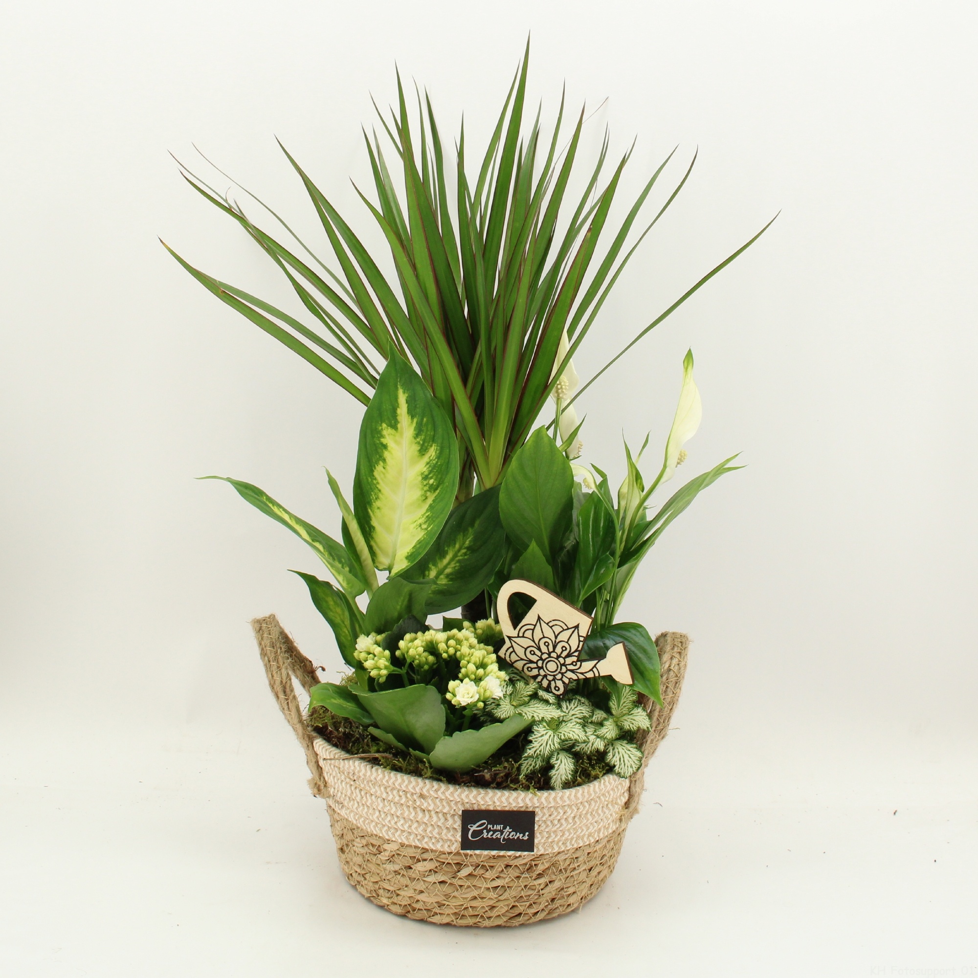 FDCR-2619W Basic Fundamentals, D 21