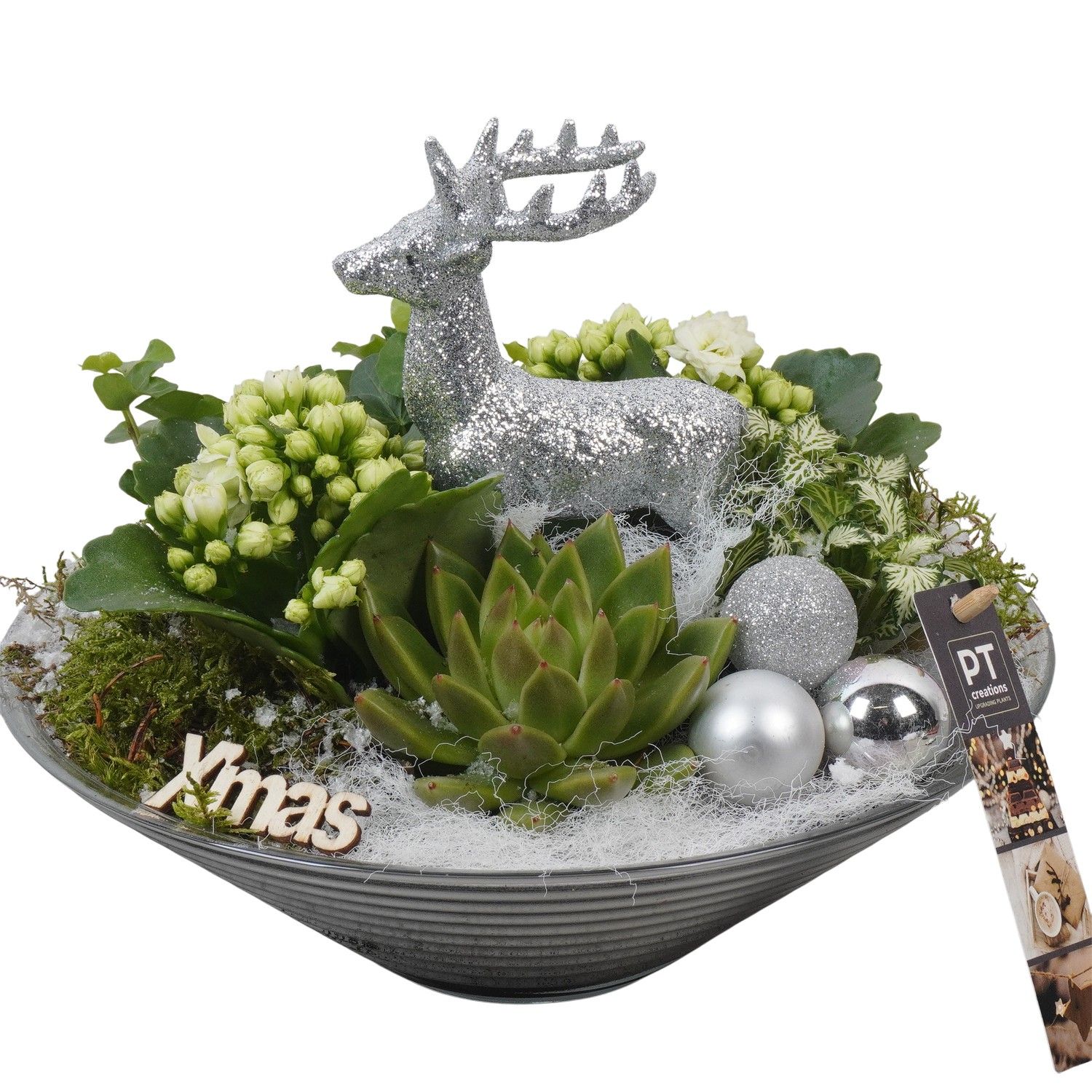 PTCHW4358 Arrangement Christmas White in glas schaal, D 26 cm