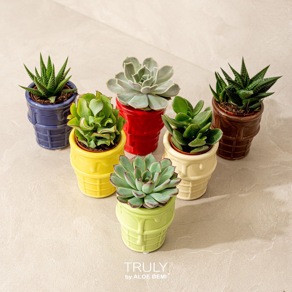 TRULY Succulent, ice cream, D 8