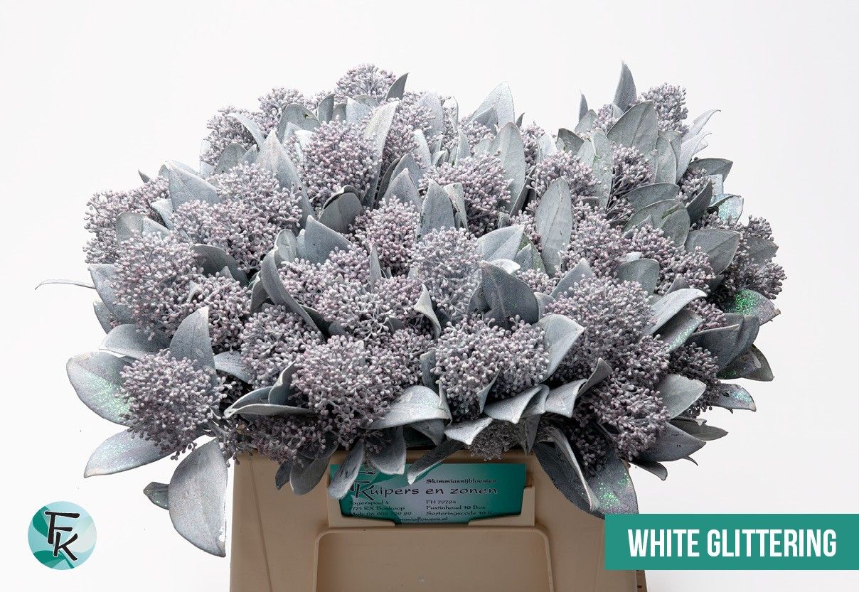 Скимия Овериг крашеный за пучок (краш. ) 45, пуч.