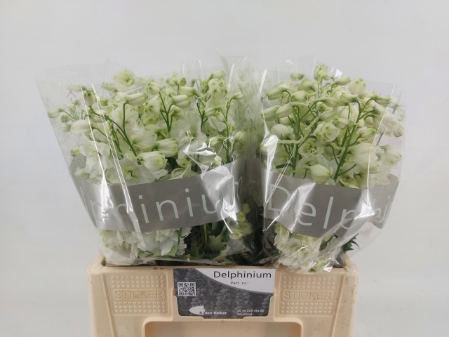 Дельфиниум дв. Центурион Вайт 50, шт.