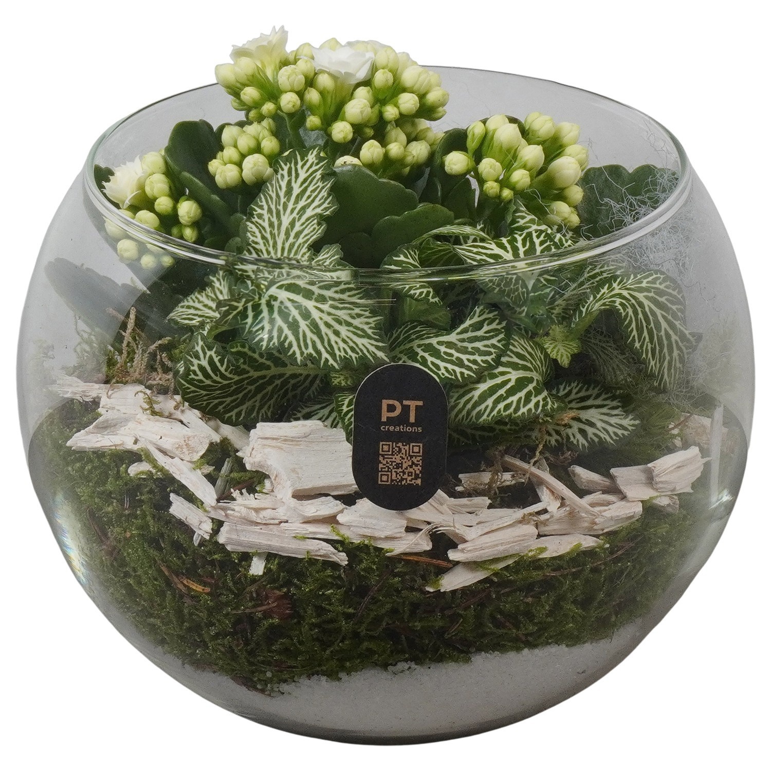 PTHG8215 Arrangement Autumn Glass in glazen vissenkom, D 16