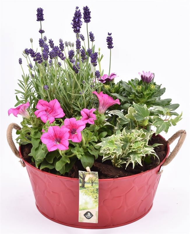 Zink schaal rood hart decor 25cm, D 25