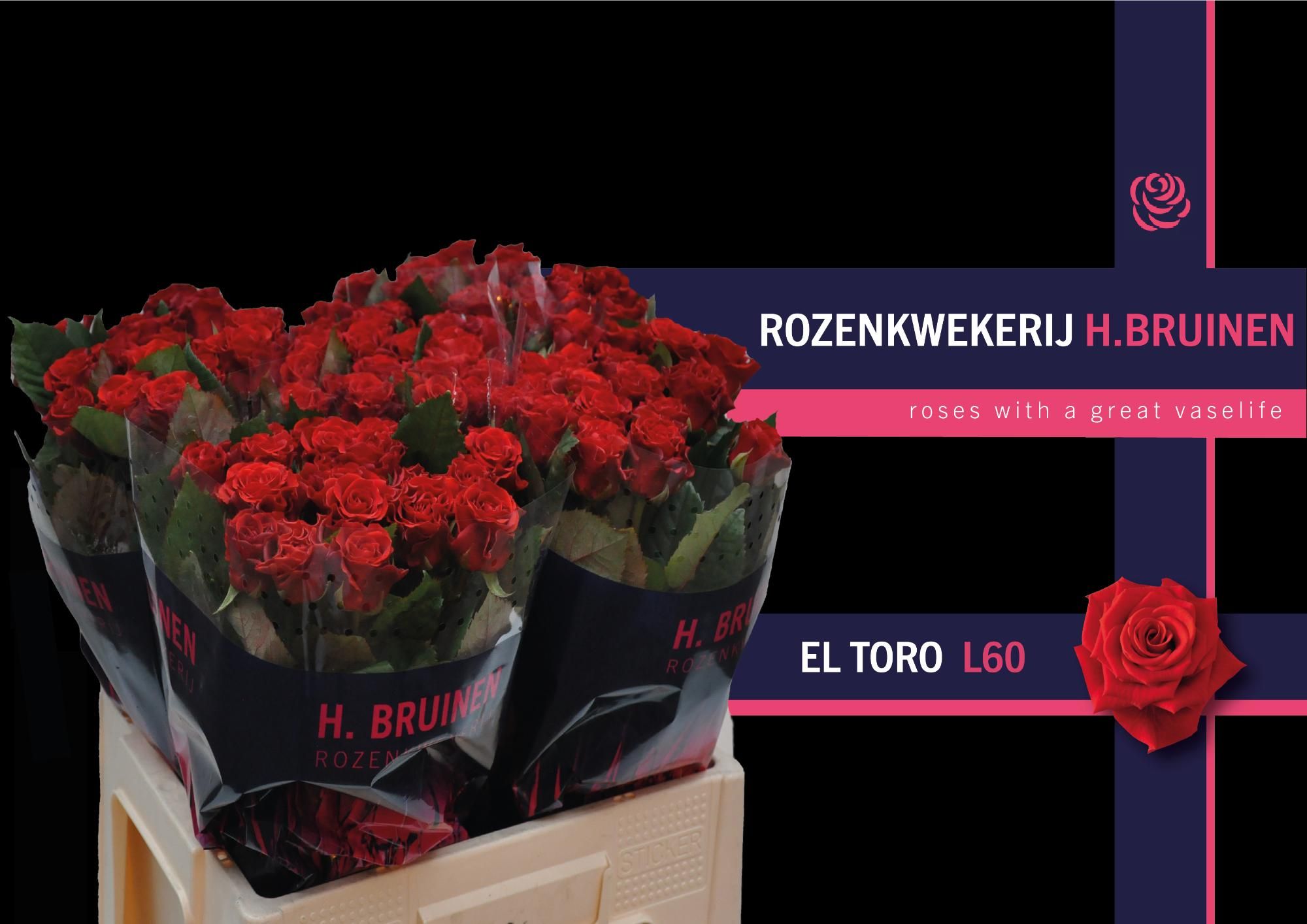 Роза од. Эль Торо 60, шт. Роза од. Эль Торо 60, шт.