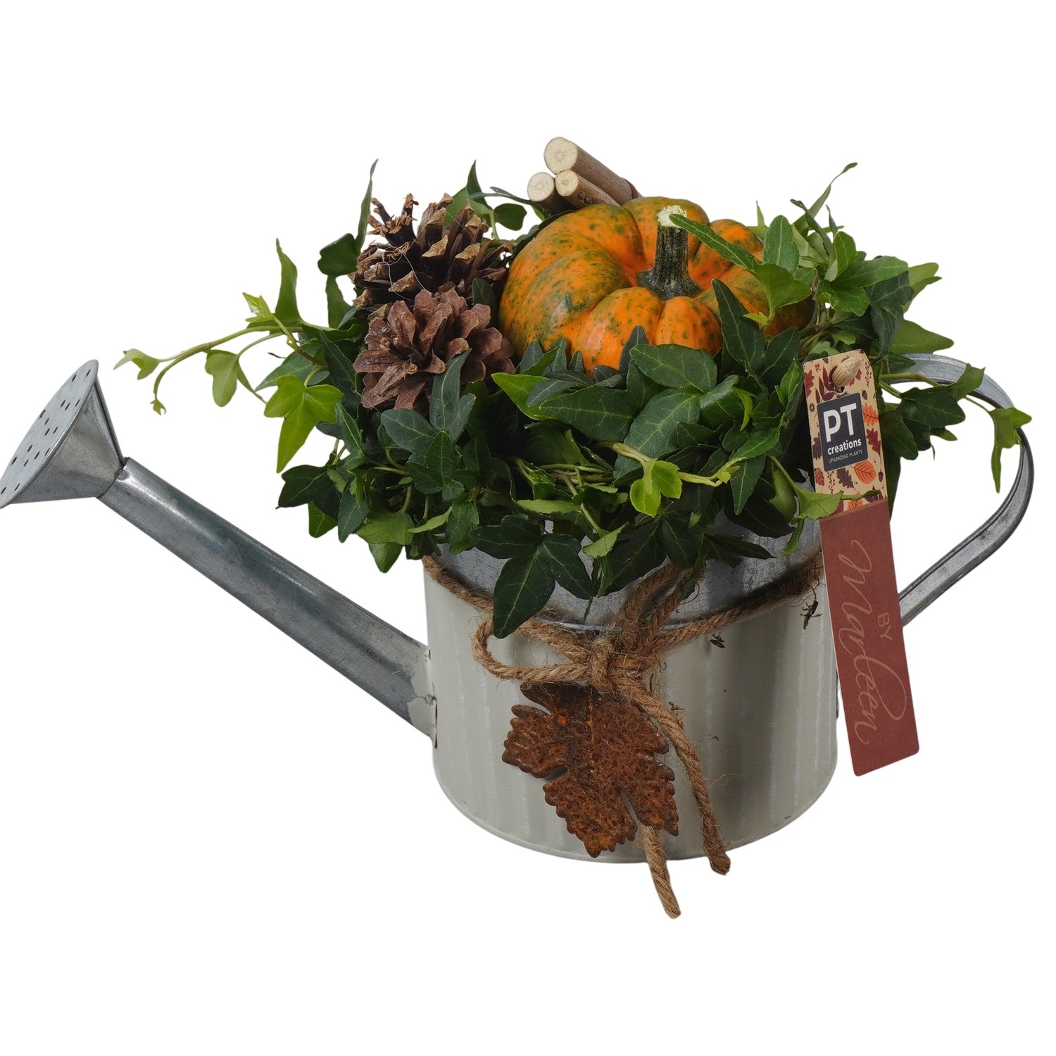 PTSF8224 Arrangement Kalebas hedera in metalen gieter, D 12 cm