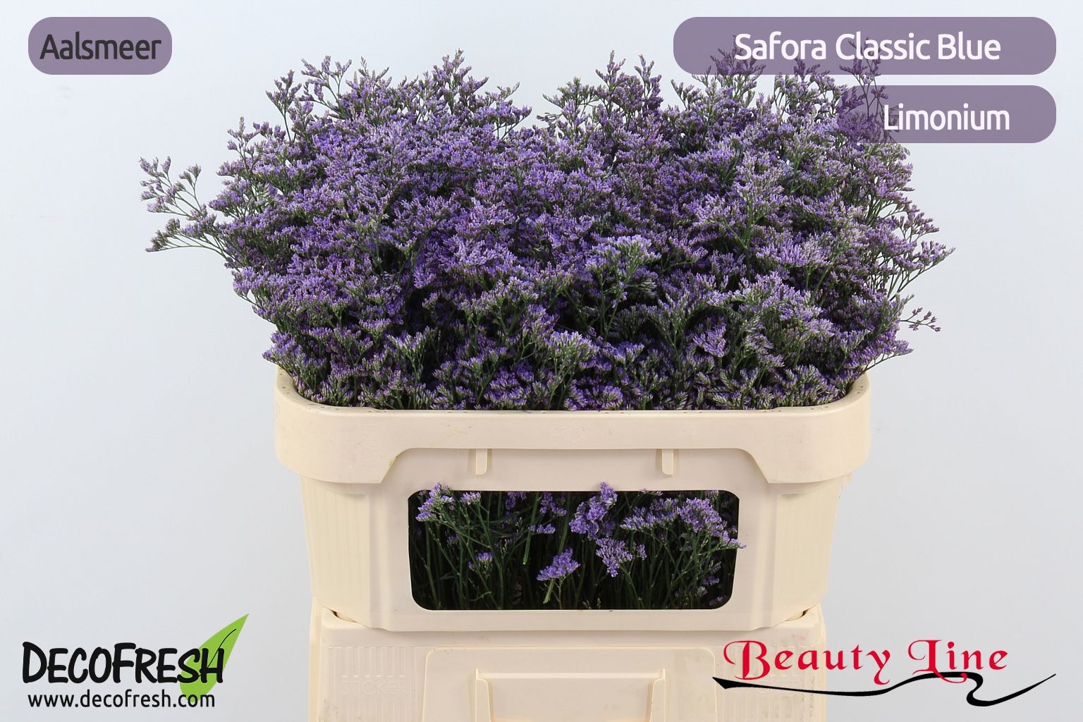 Лимониум Сафора Классик Блю 70, шт.