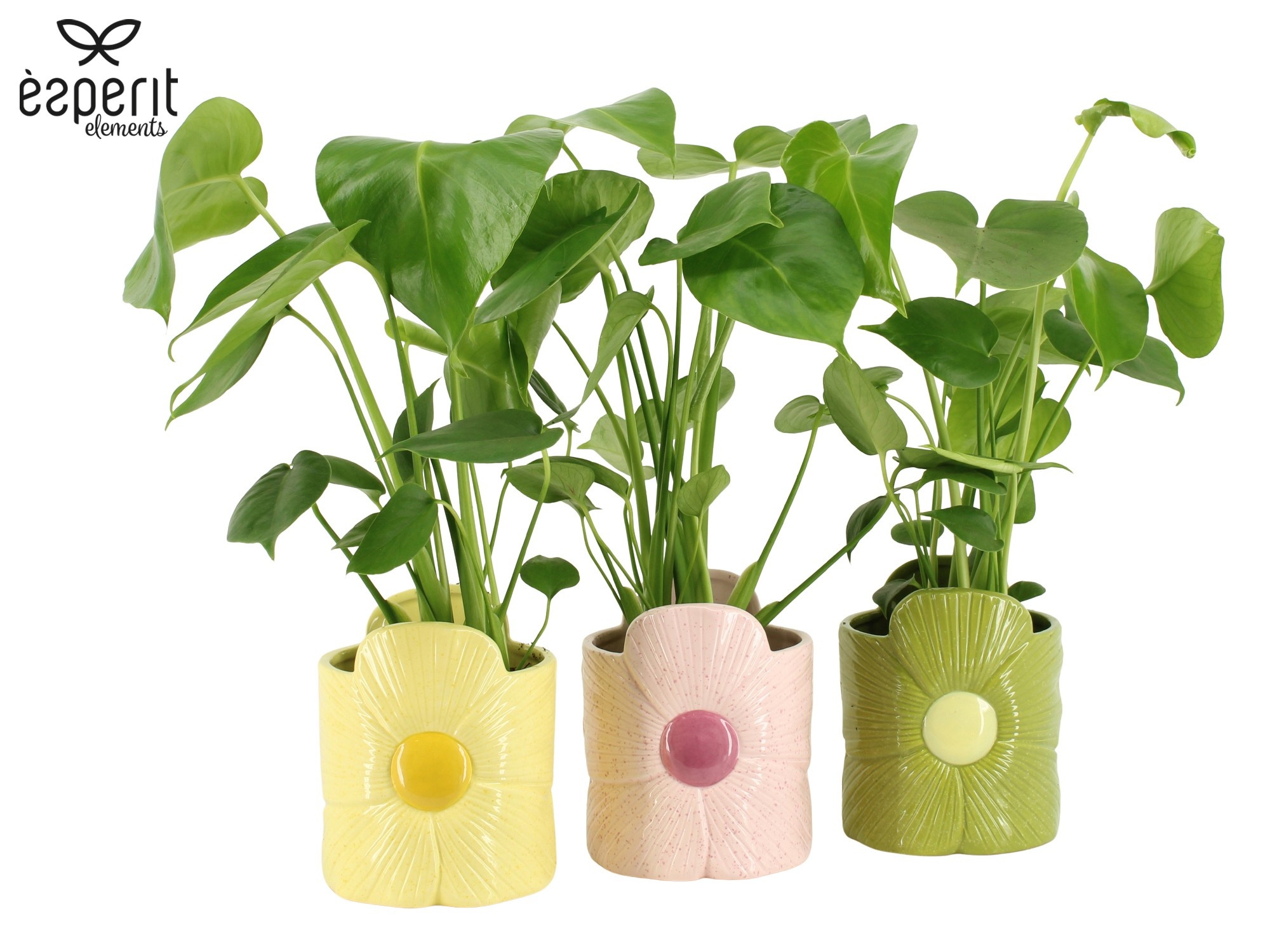 7503581: Solutionss Reinvention, D 12