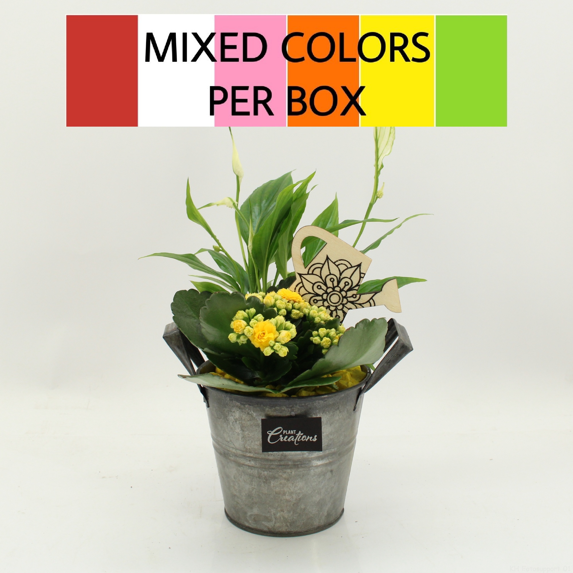 FDCR-2613M Basic Fundamentals, D 14