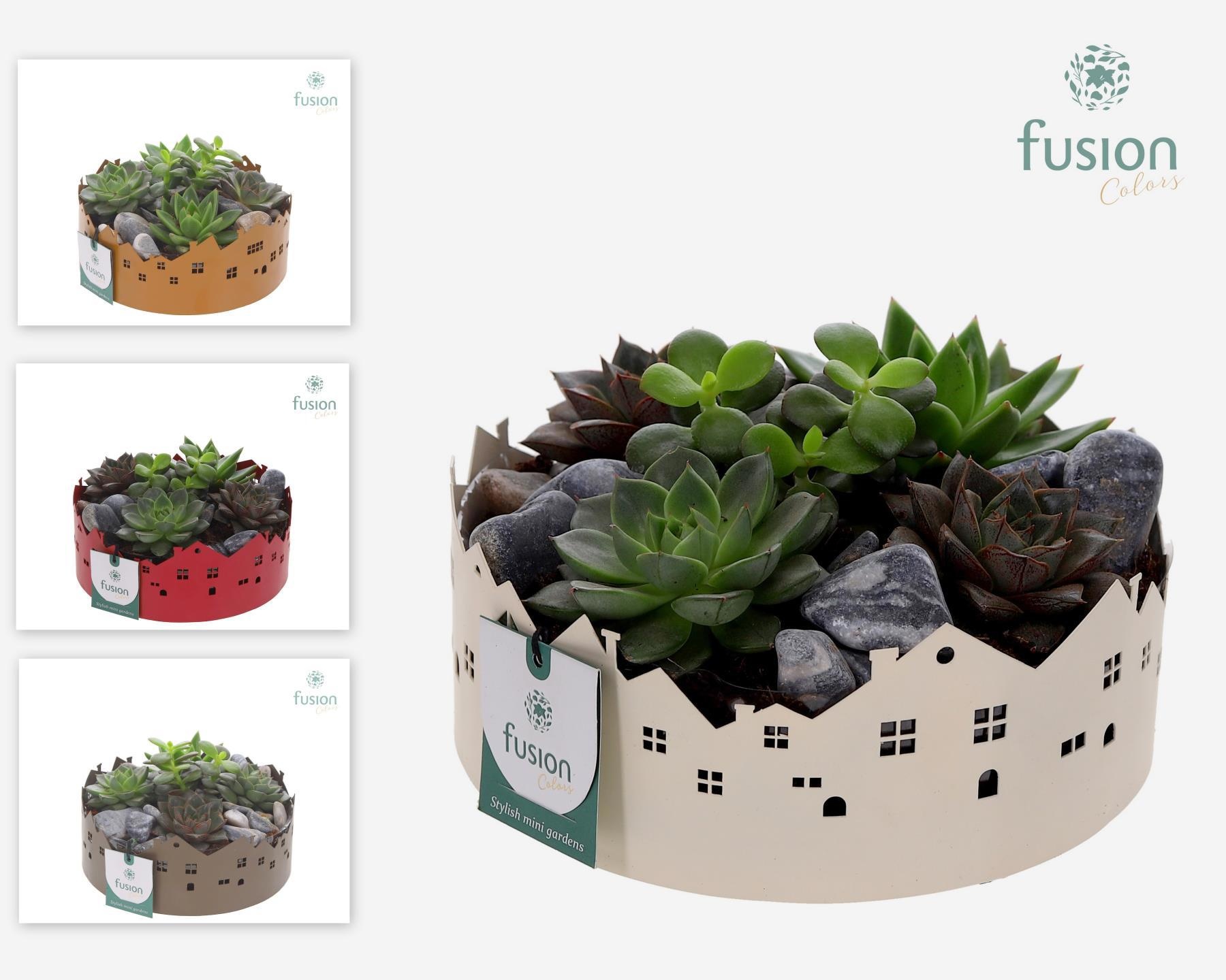 Zinken schaal Huisjes Medium met Succulenten, D 19 cm