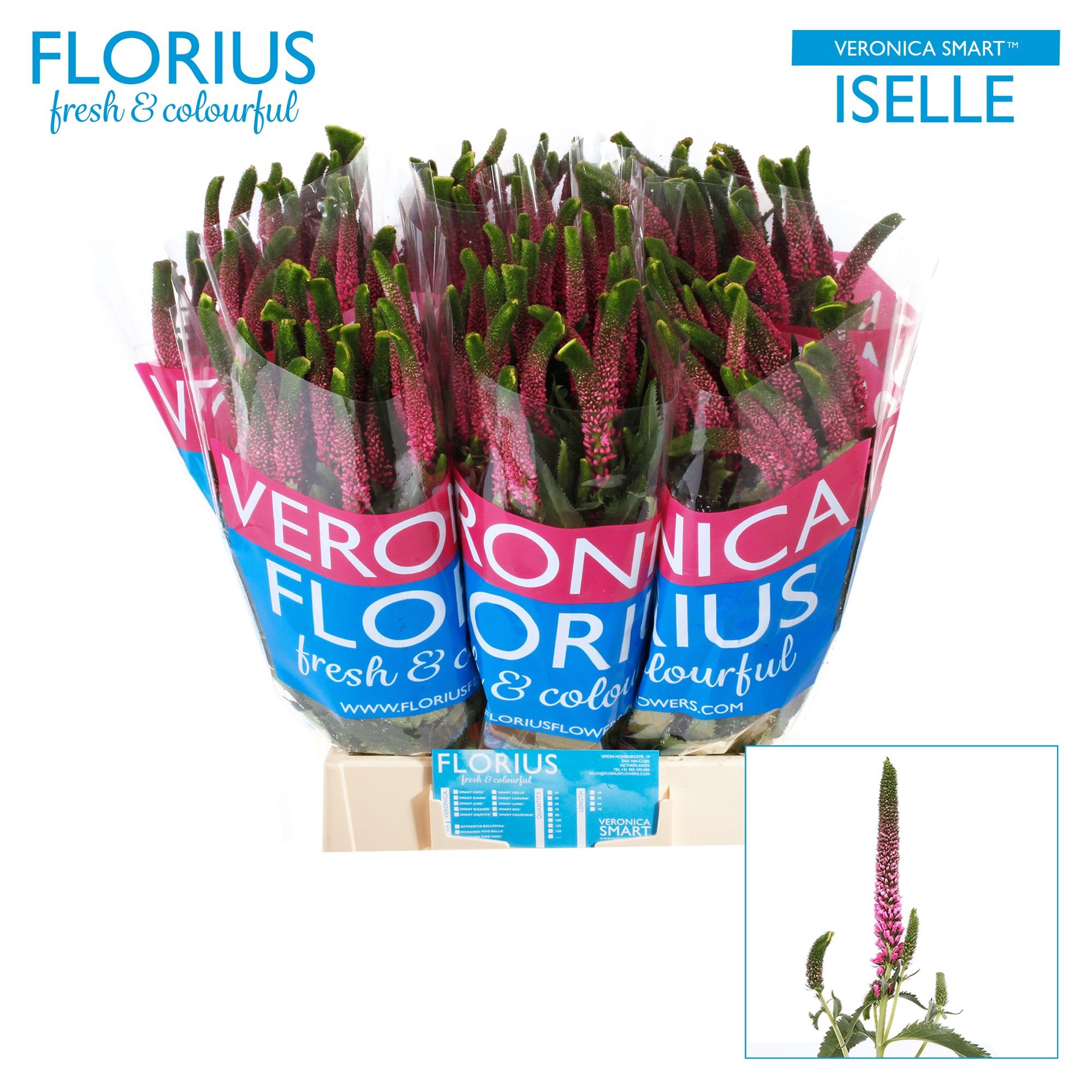 Вероника Смарт Изель 50, шт.