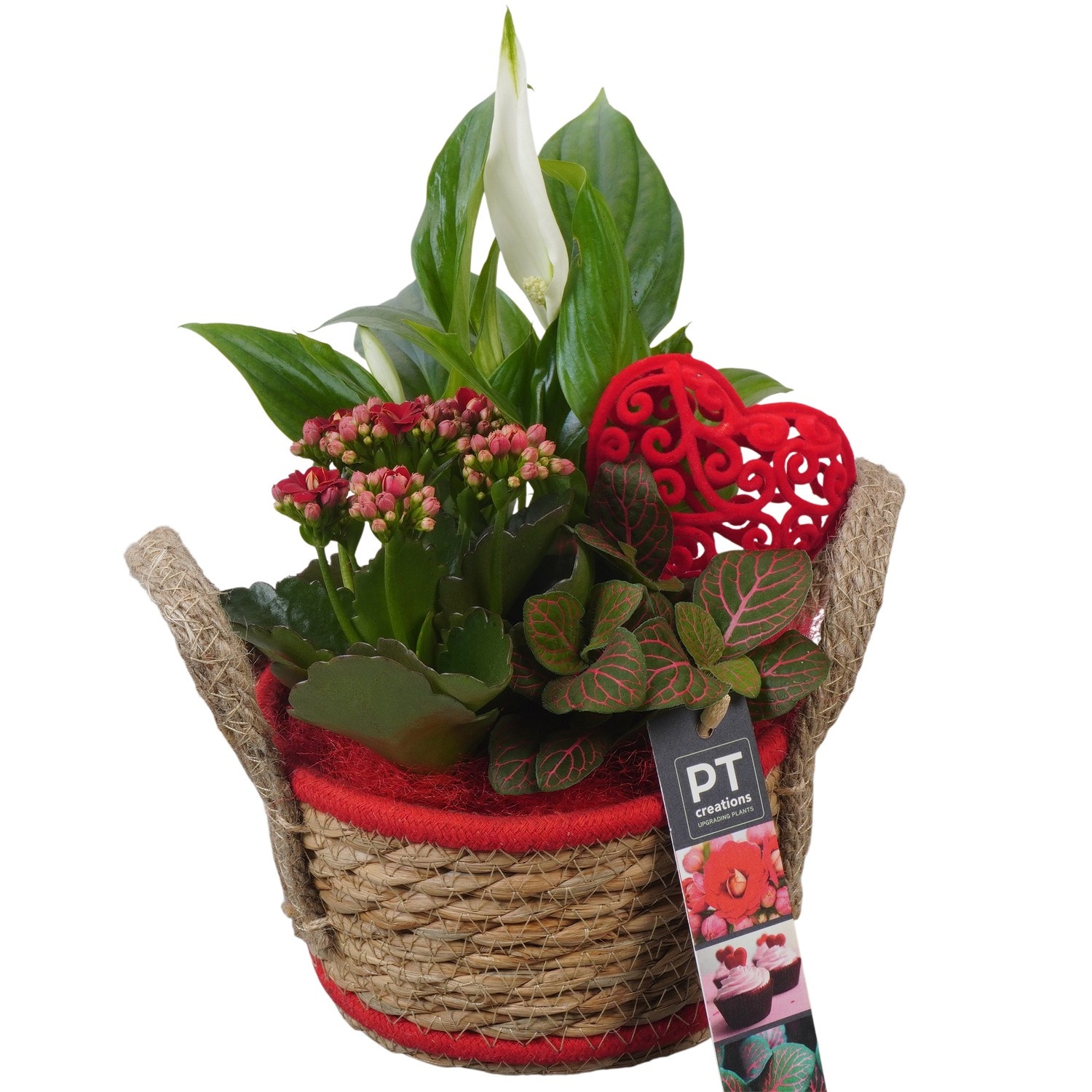 PTVMB2323 Arrangement Valentines-Mothersday in riet mand, D 15