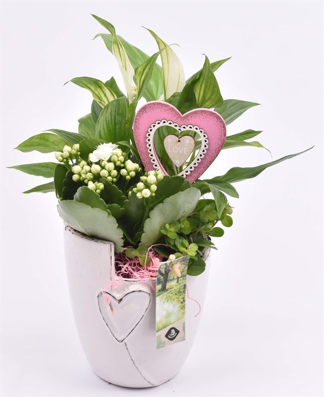 Keramiek pot met hart 12.5CM, D 13