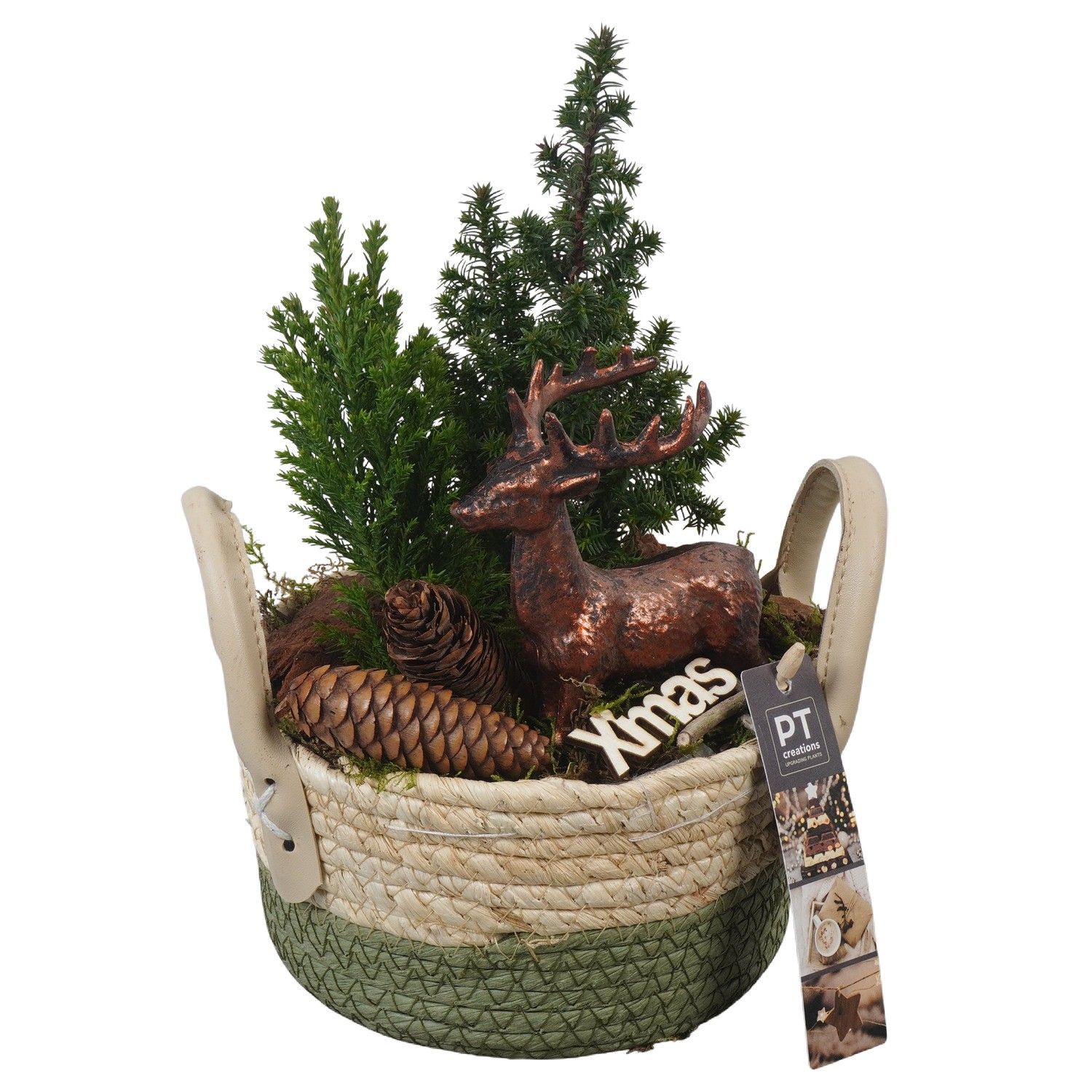 PTCWW6883 Arrangement Winter in rieten mand, D 17 cm