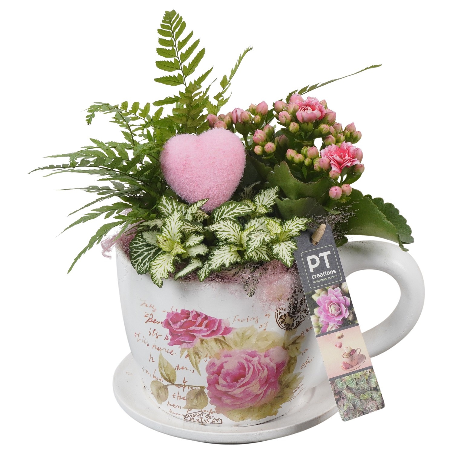 PTVMB2268 Arrangement Valentines-Mothersday in keramiek kop en schotel, D 14