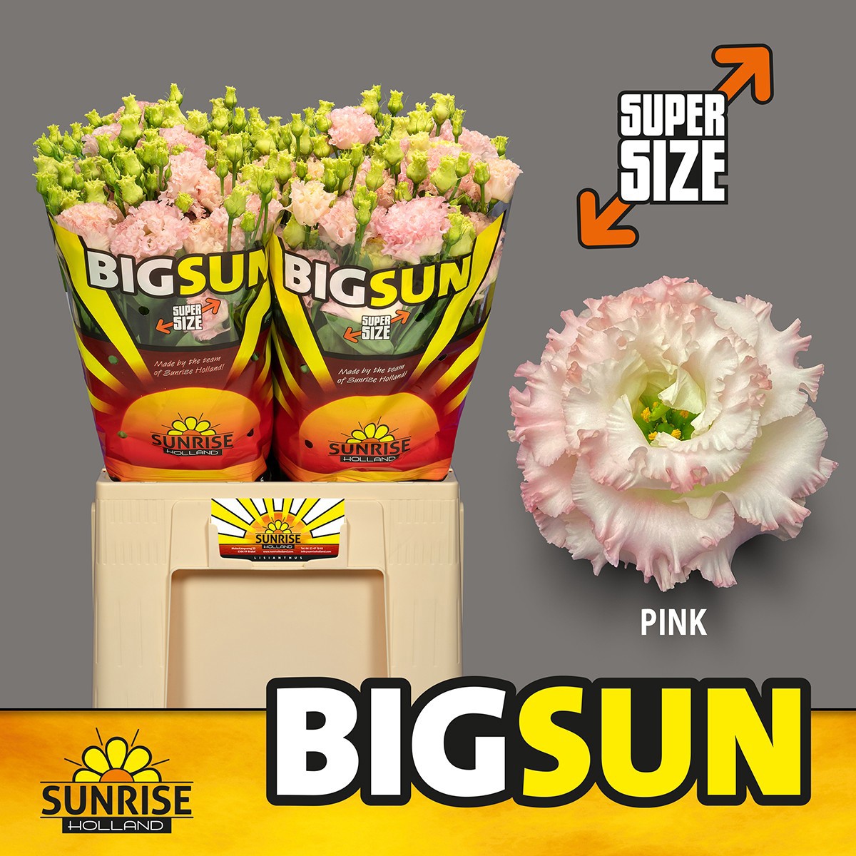 Эустома Алисса Пинк 65 (роз.), шт.