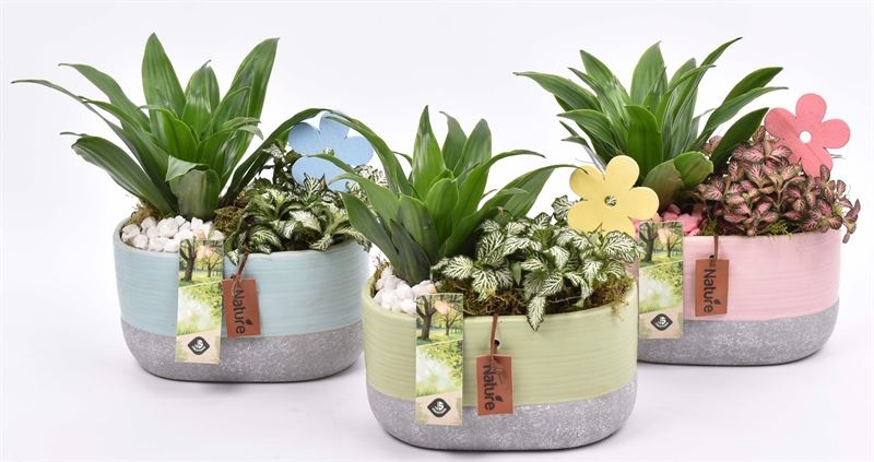 Keramiek ovaal kl.mix 18x10cm, D 18