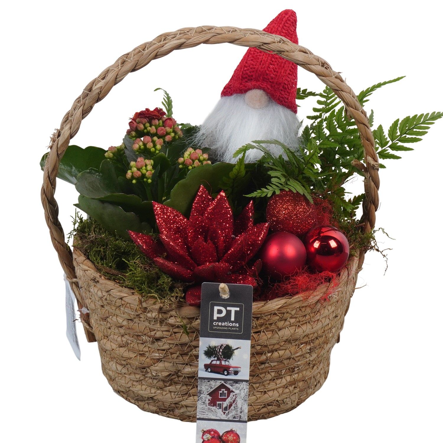 PTCHR7372 Arrangement Christmas Red in rieten mand, D 18 cm