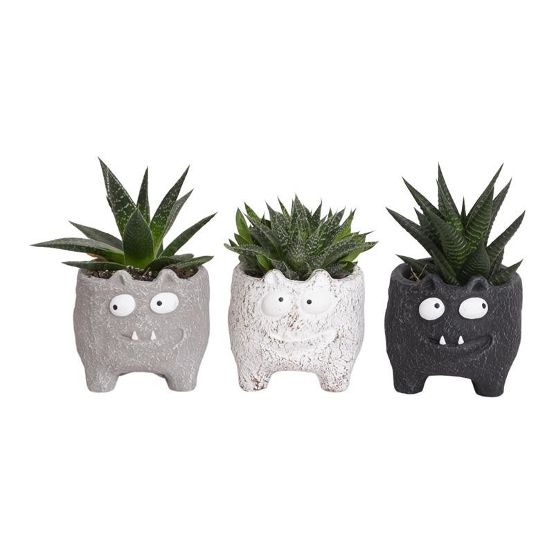 HALLOWEEN CERAMIC 520955 Monster Cat, D 6