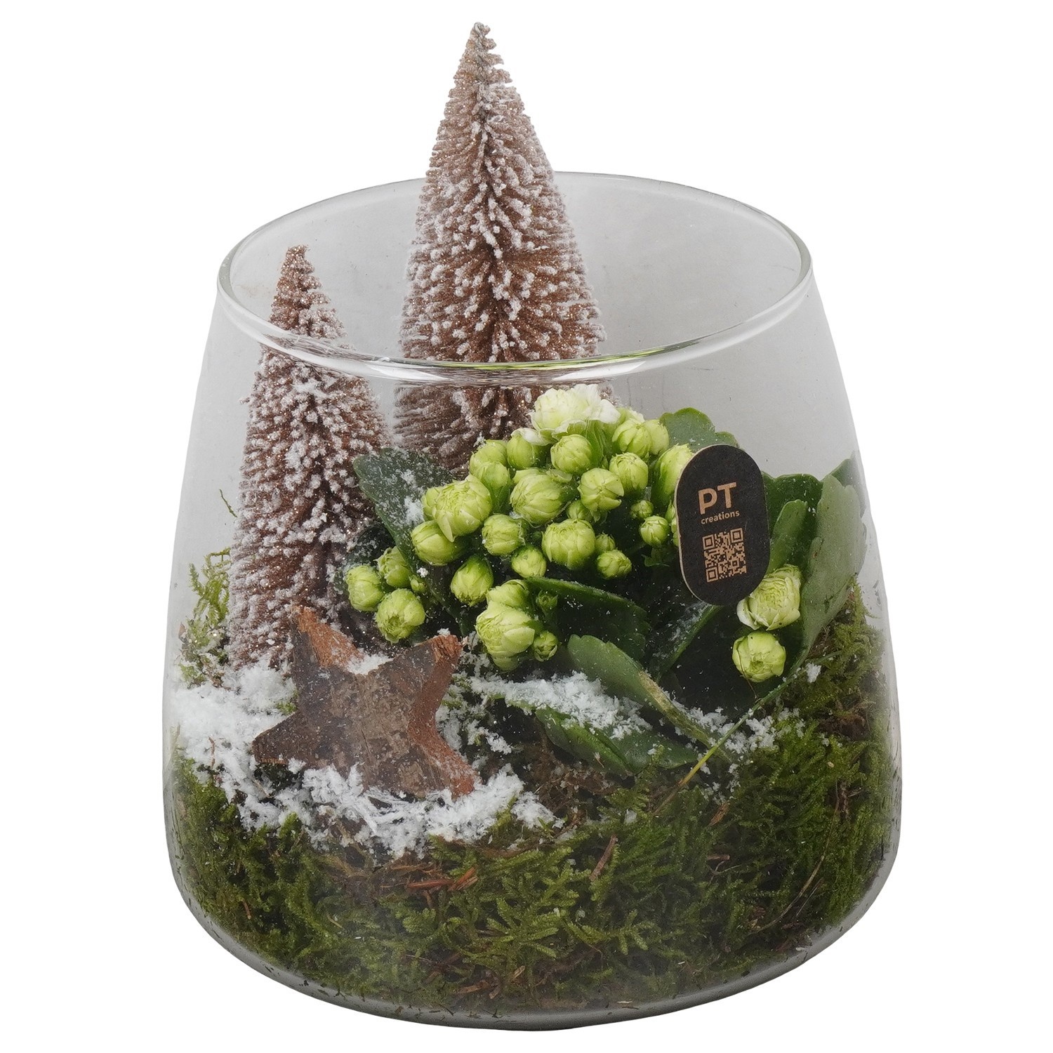 PTCHB5821 Arrangement Christmas Bronze in glazen vaas, D 14