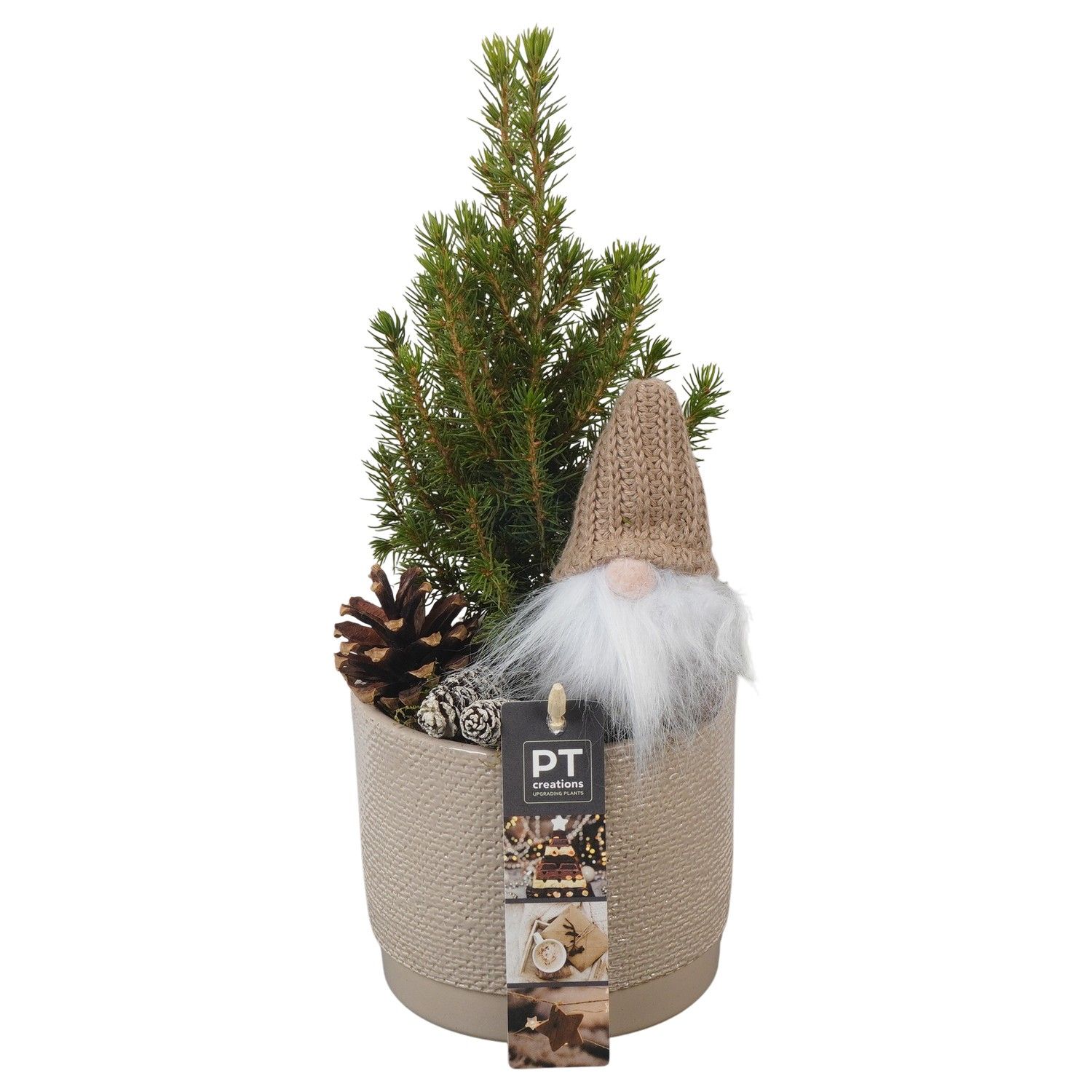 PTCWW6929 Arrangement Winter in keramiek pot, D 12 cm