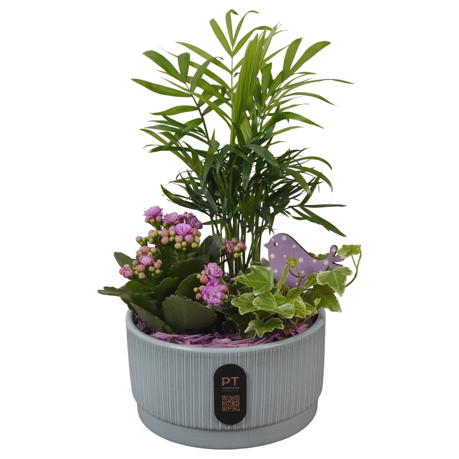 PTIB5115 Arrangement Indoor in keramiek schaal, D 16