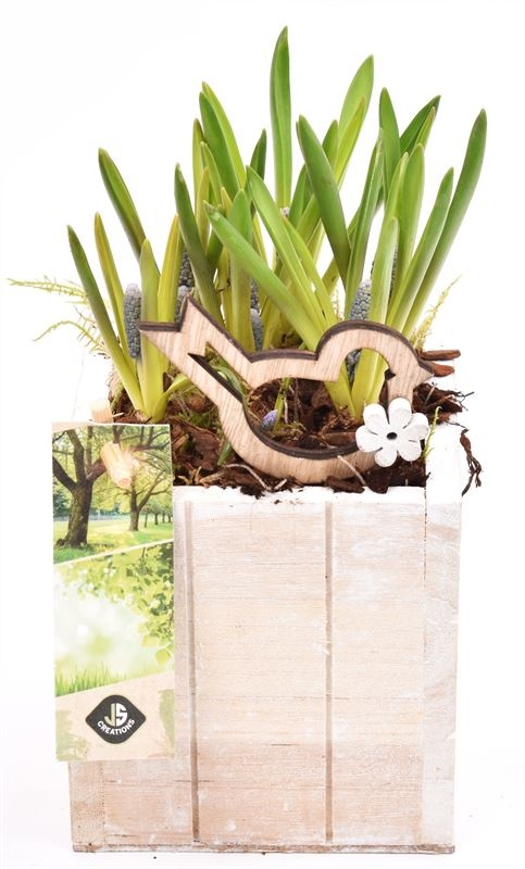 Hout box white wash 12.5x12.5cm, D 10