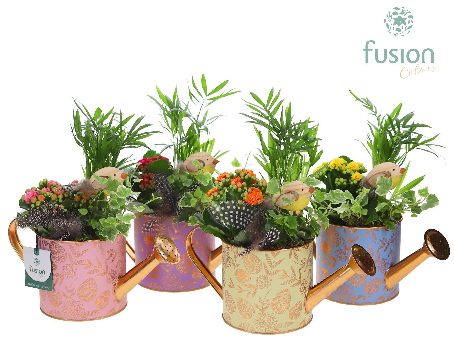 Zinken gieter met arrangement, D 12