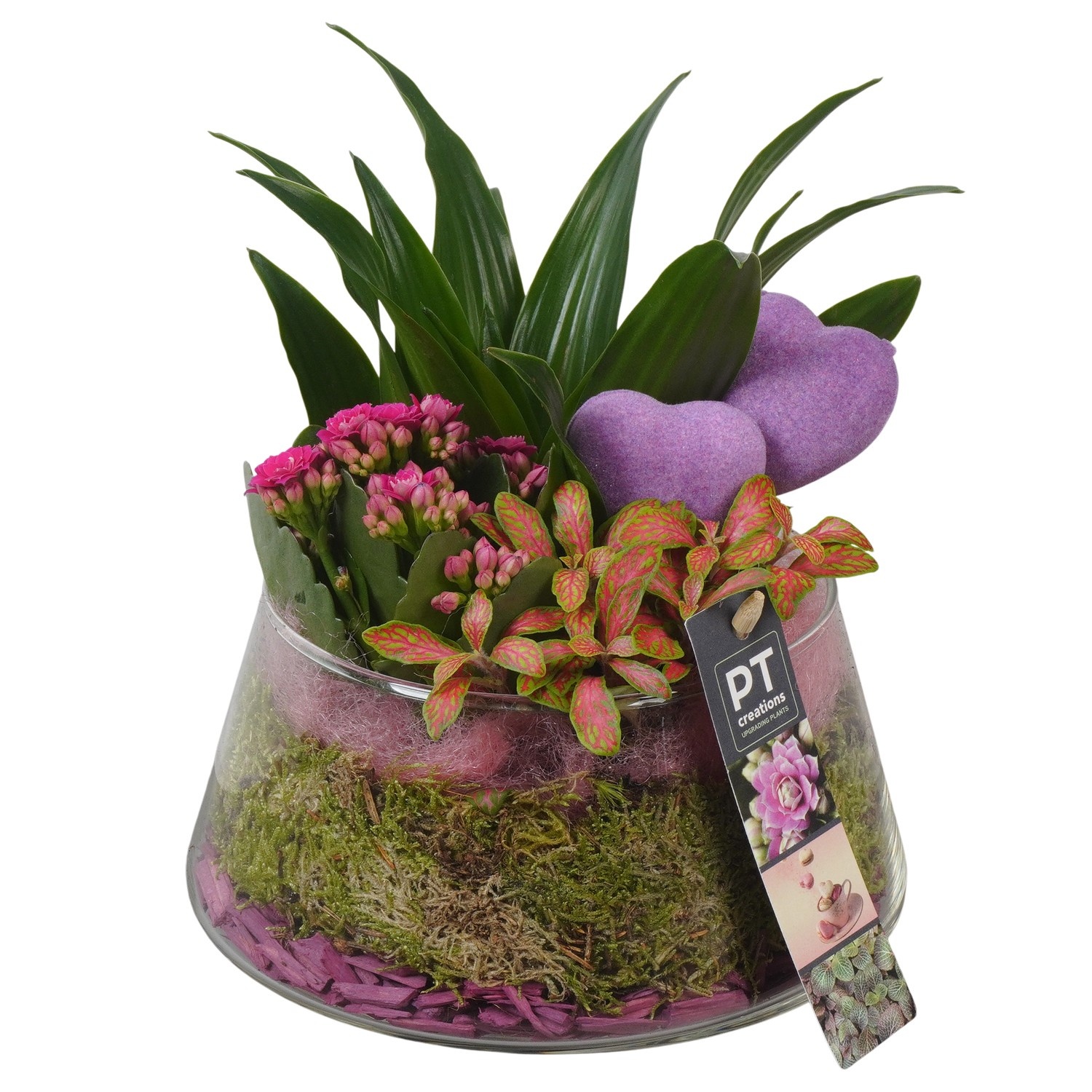 PTVMG4941 Arrangement Valentines-Mothersday in glas schaal, D 18