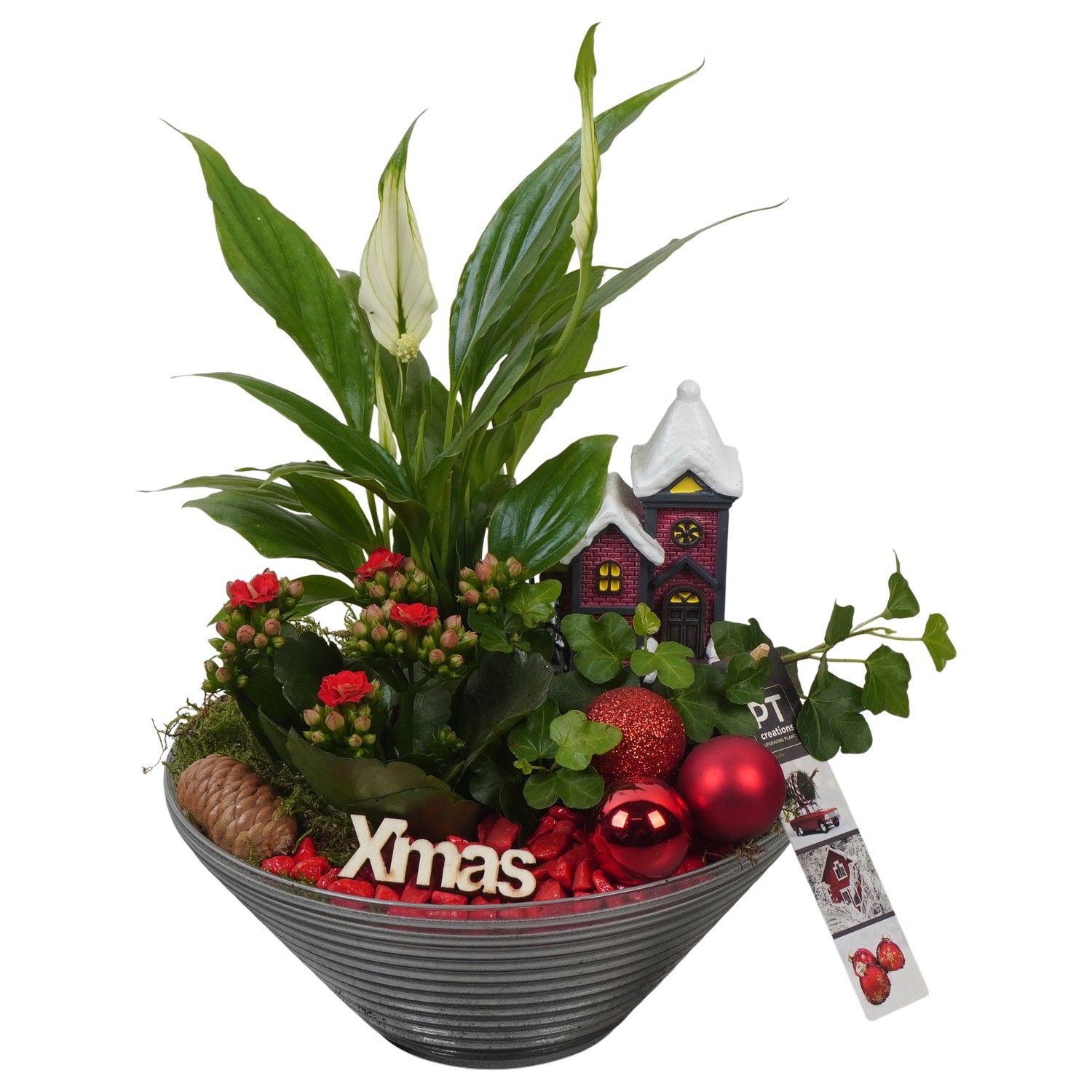 PTCHR7427 Arrangement Christmas Red in glas schaal, D 19 cm