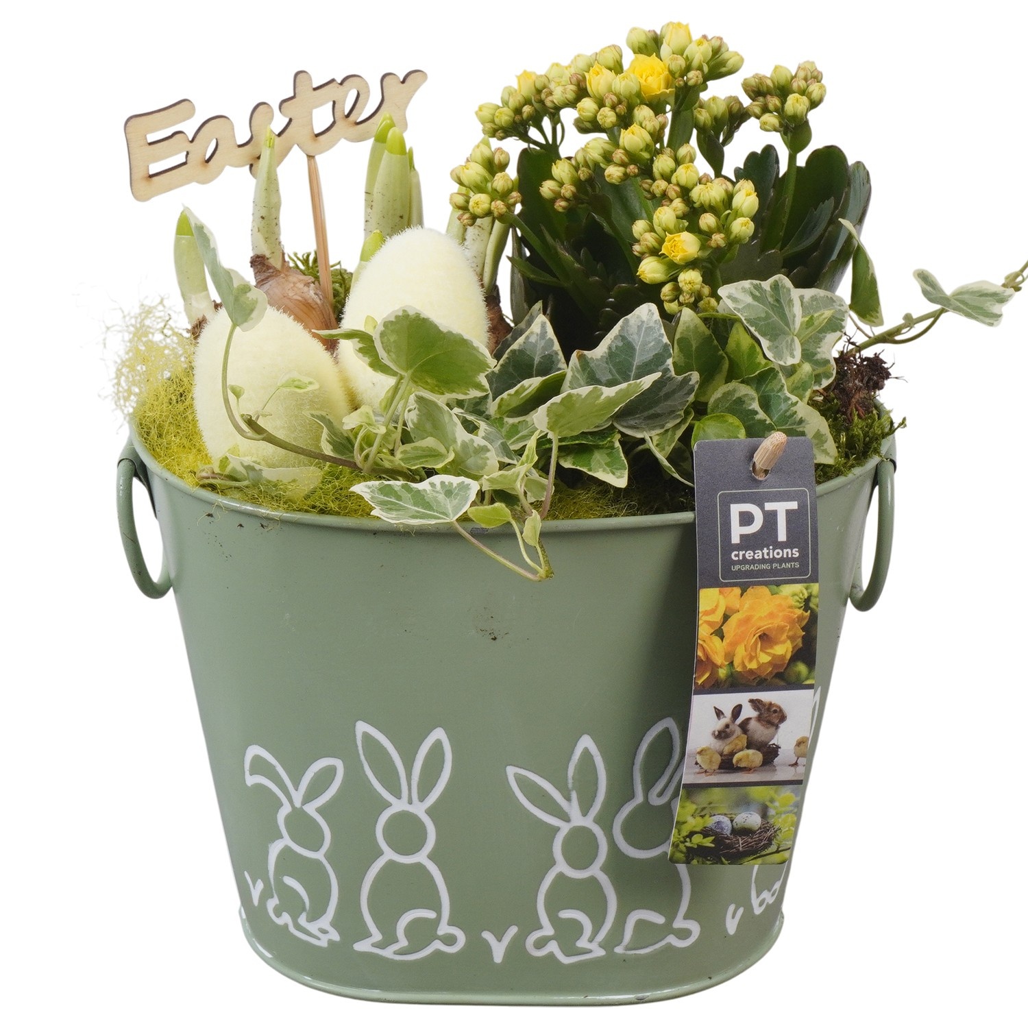 PTPB6456 Arrangement Easter in zink pot, D 17