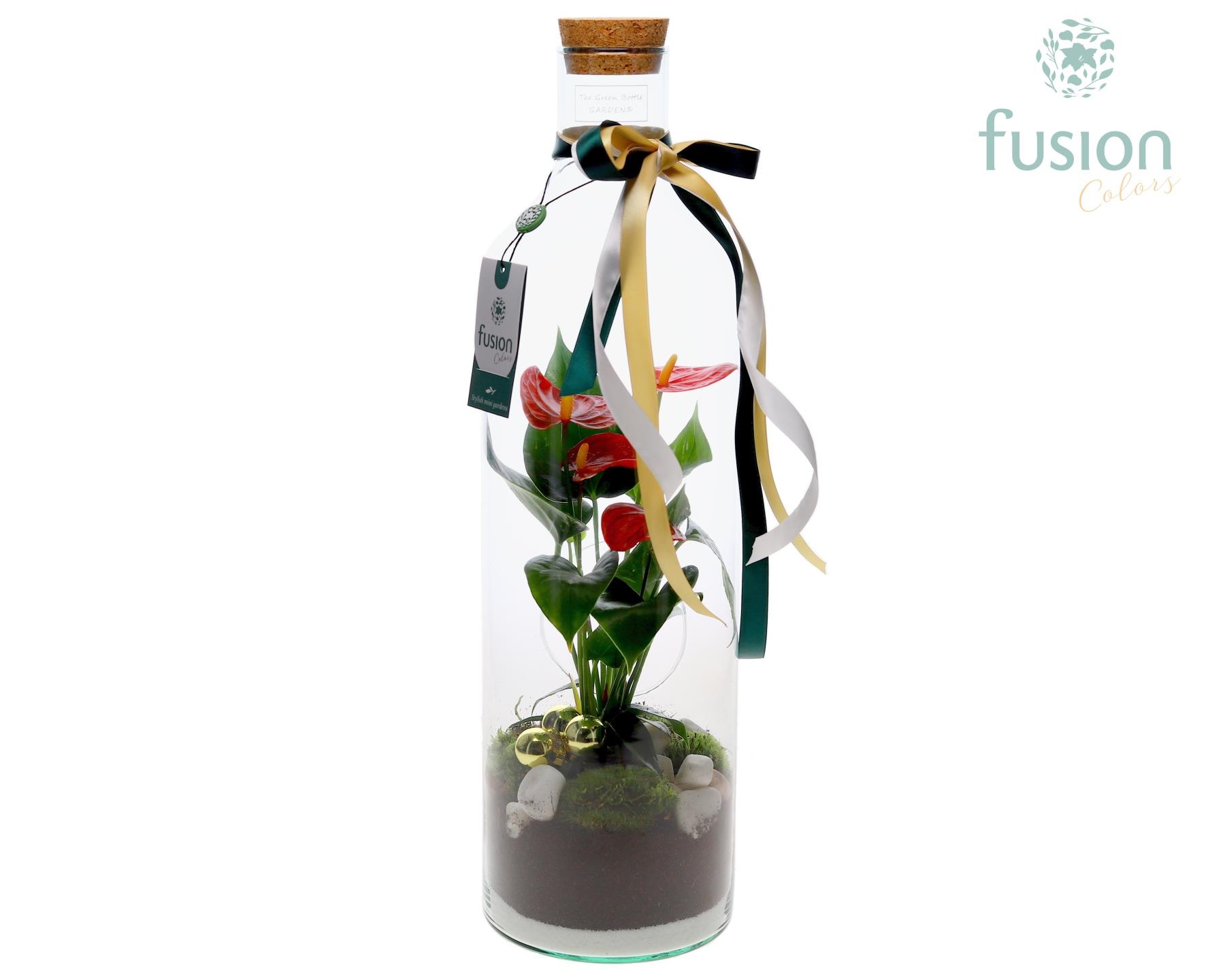 Green Bottle Fles Large Kerst met Anthurium, D 15 cm