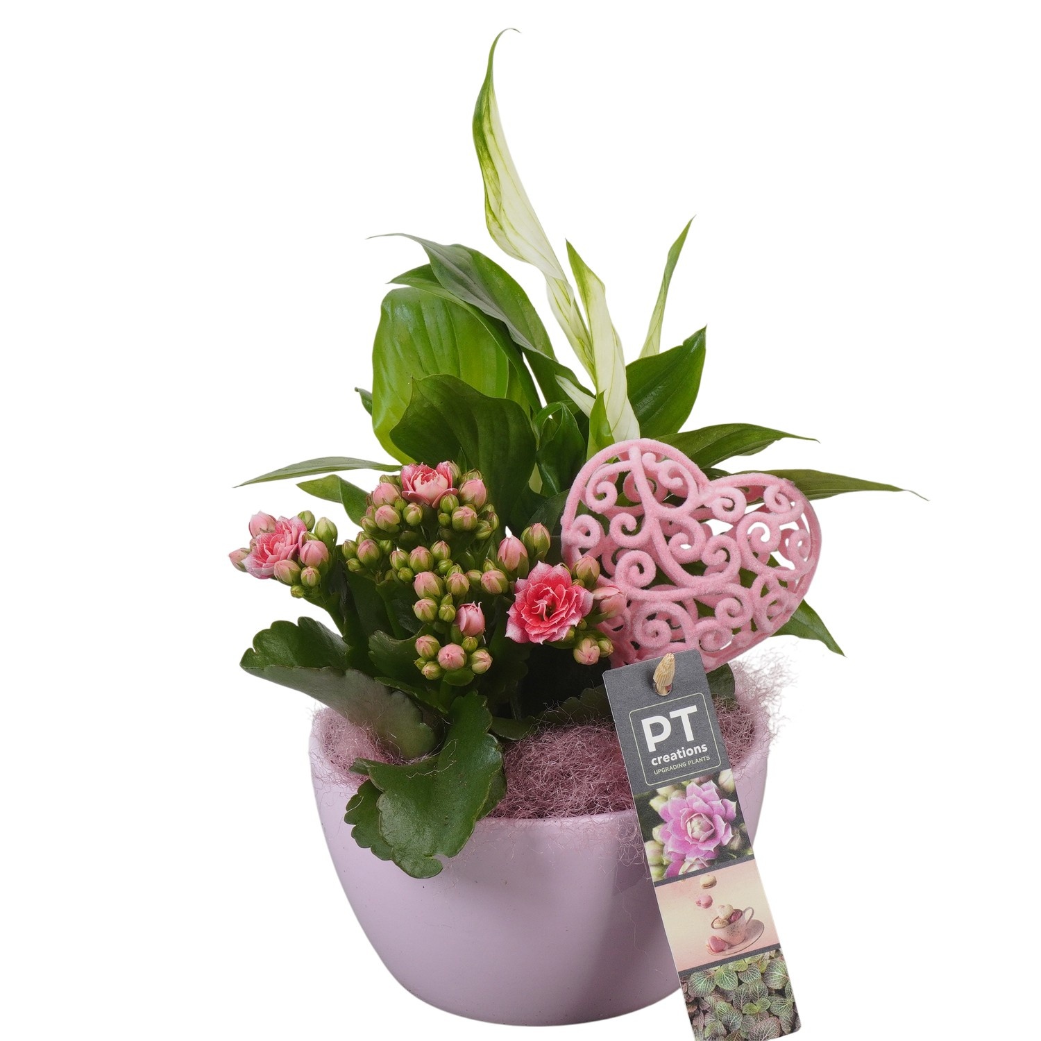 PTVMB2211 Arrangement Valentines-Mothersday in keramiek schaal, D 14