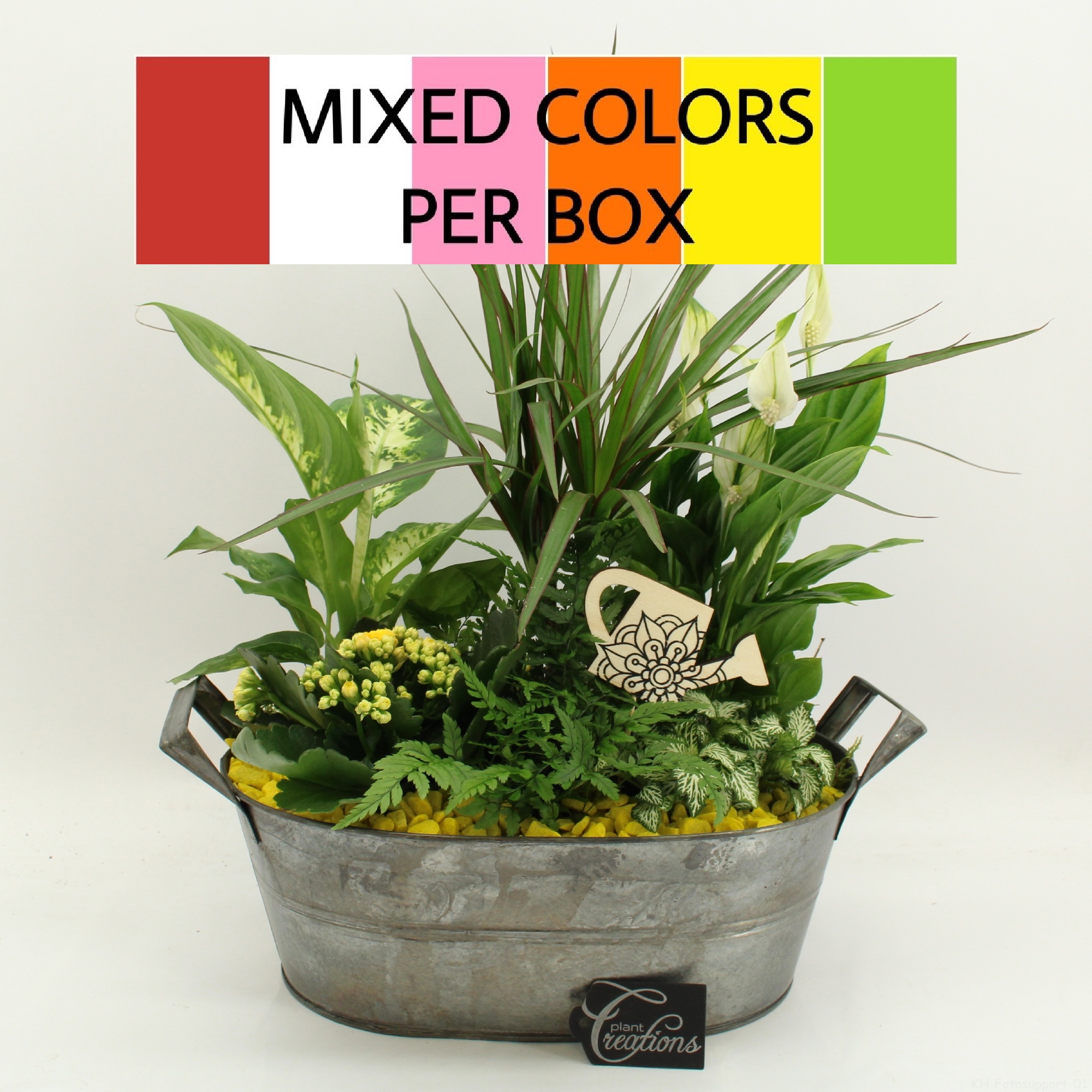 FDCR-2616M Basic Fundamentals, D 32