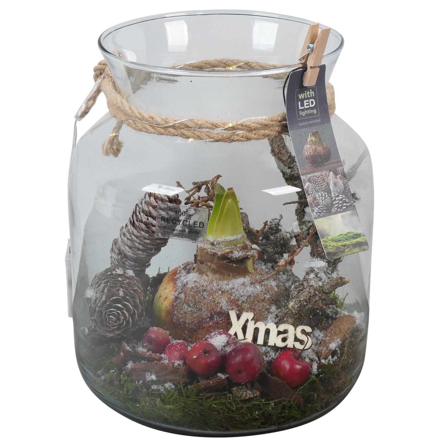 PTACH5948 Arrangement Amaryllis Christmas in glazen vaas, D 19 cm