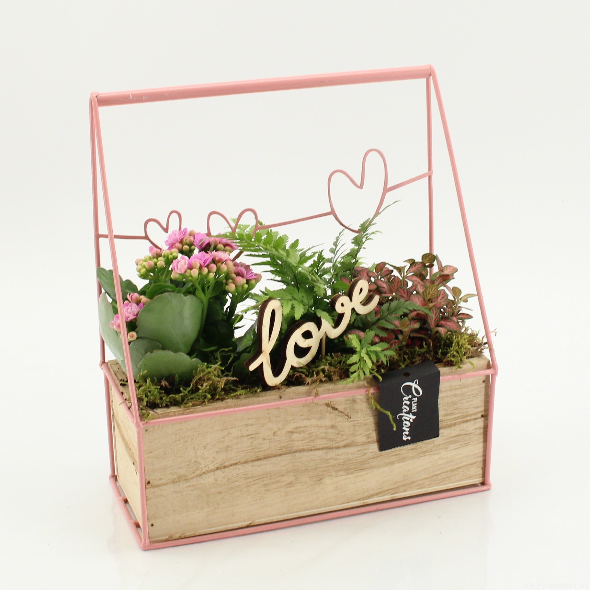 RMCR-2627RZ Romantic Essentials, D 23