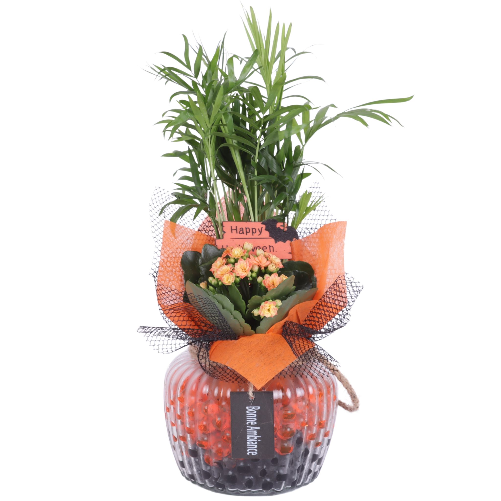 Halloween Arr. Indoor Round relief glass Ø15cm with 2PP, D 15 cm Halloween Arr. Indoor Round relief glass Ø15cm with 2PP, D 15 cm