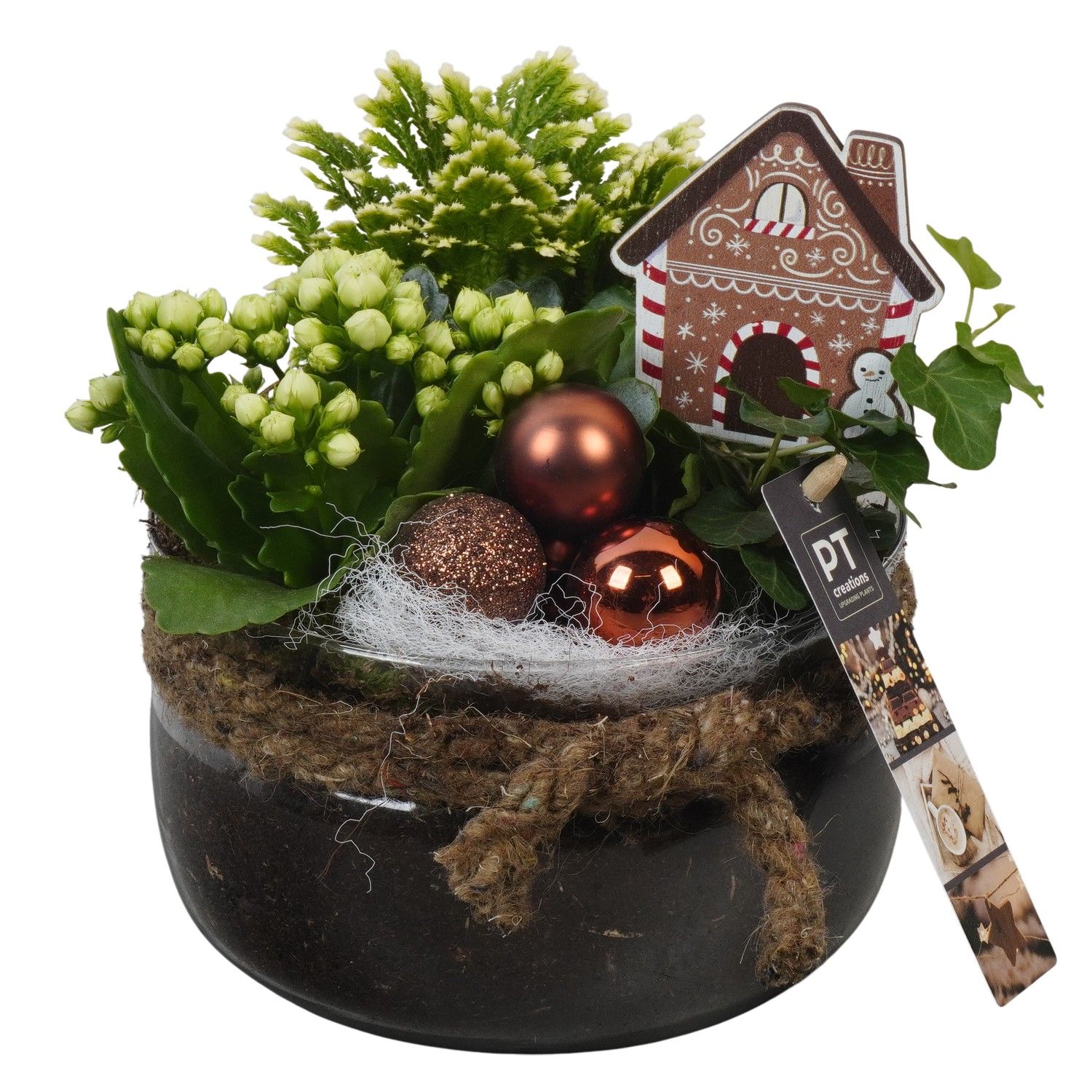 PTCHB9850 Arrangement Christmas Bronze in glas schaal, D 16 cm