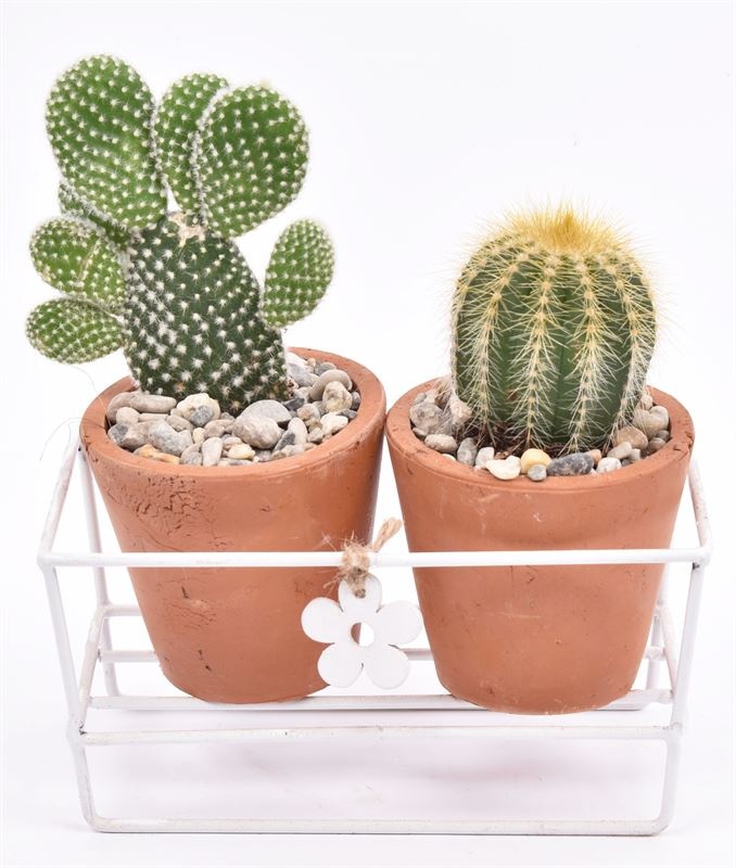 Metaal rekje met 2 terra potje 7cm, D 16