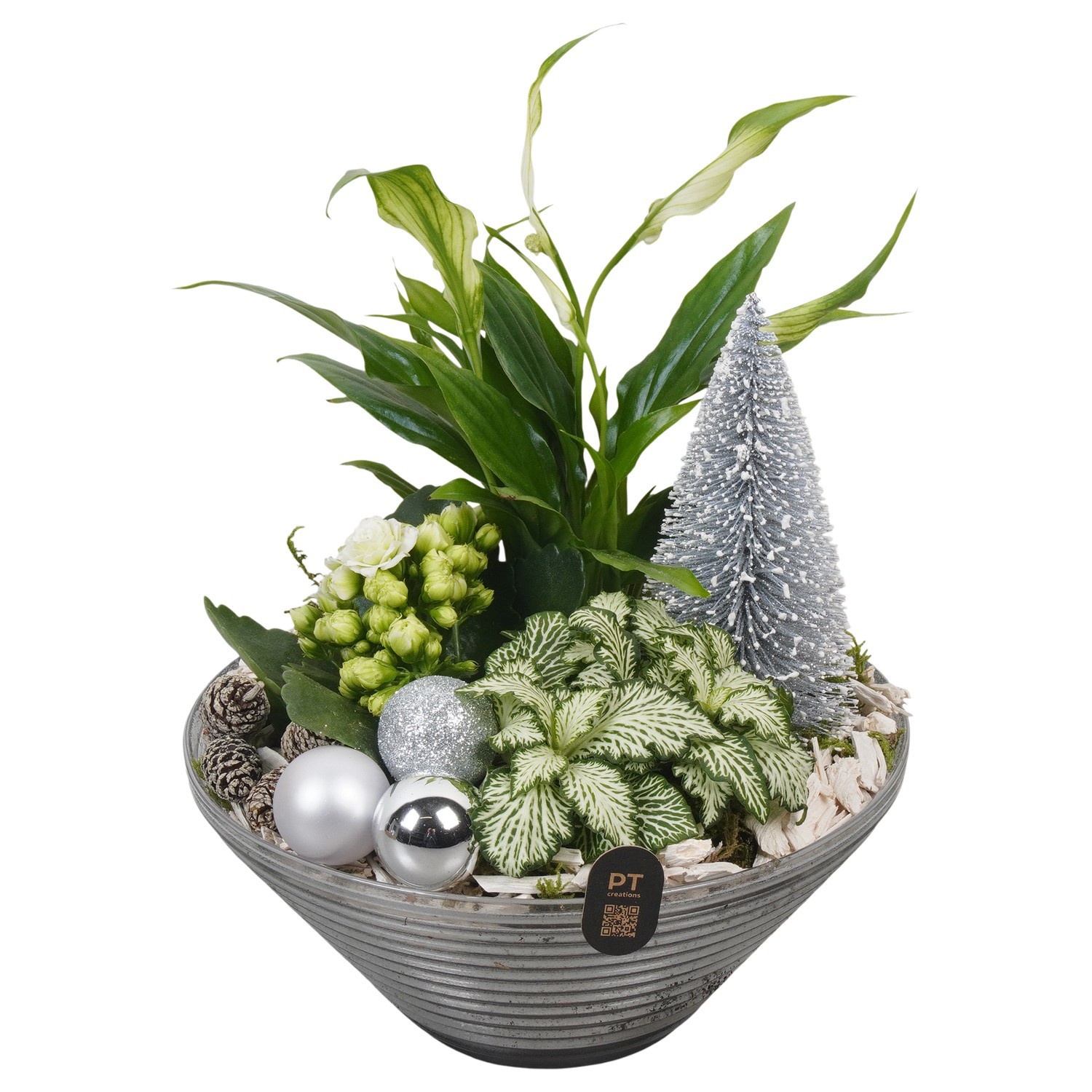 PTCHW7926 Arrangement Christmas White in glas schaal, D 19