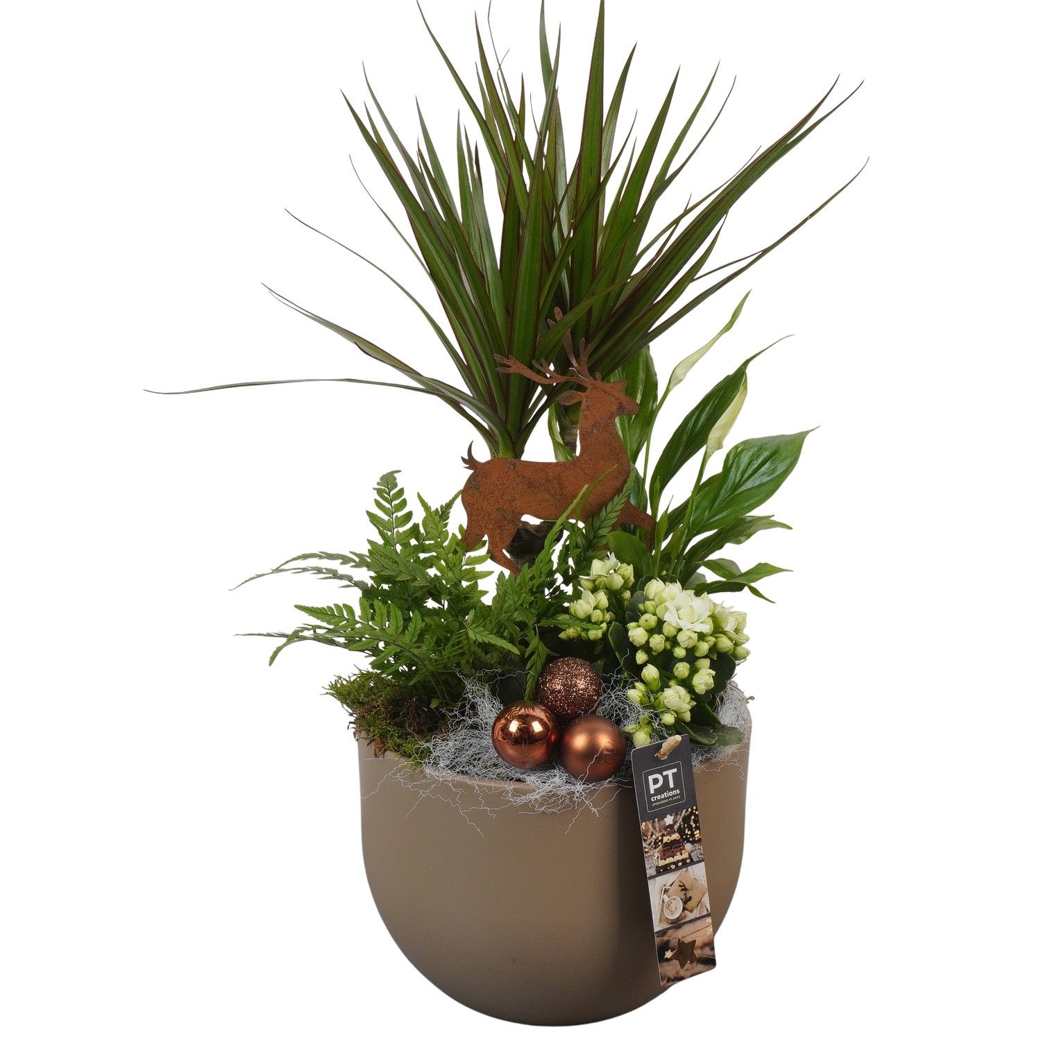 PTCHB9737 Arrangement Christmas Bronze in keramiek pot, D 19 cm